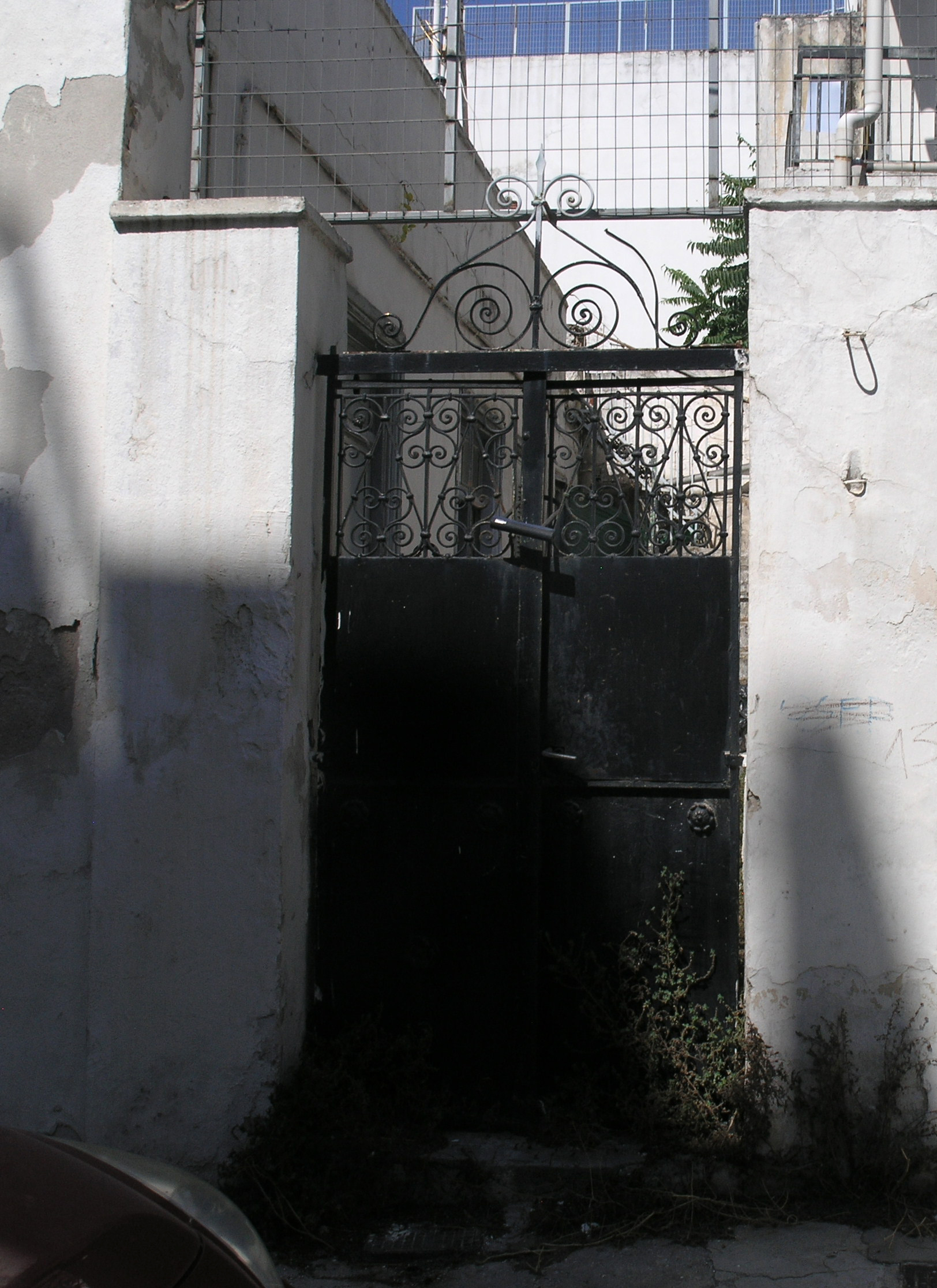 Γενική αυλόθυρας