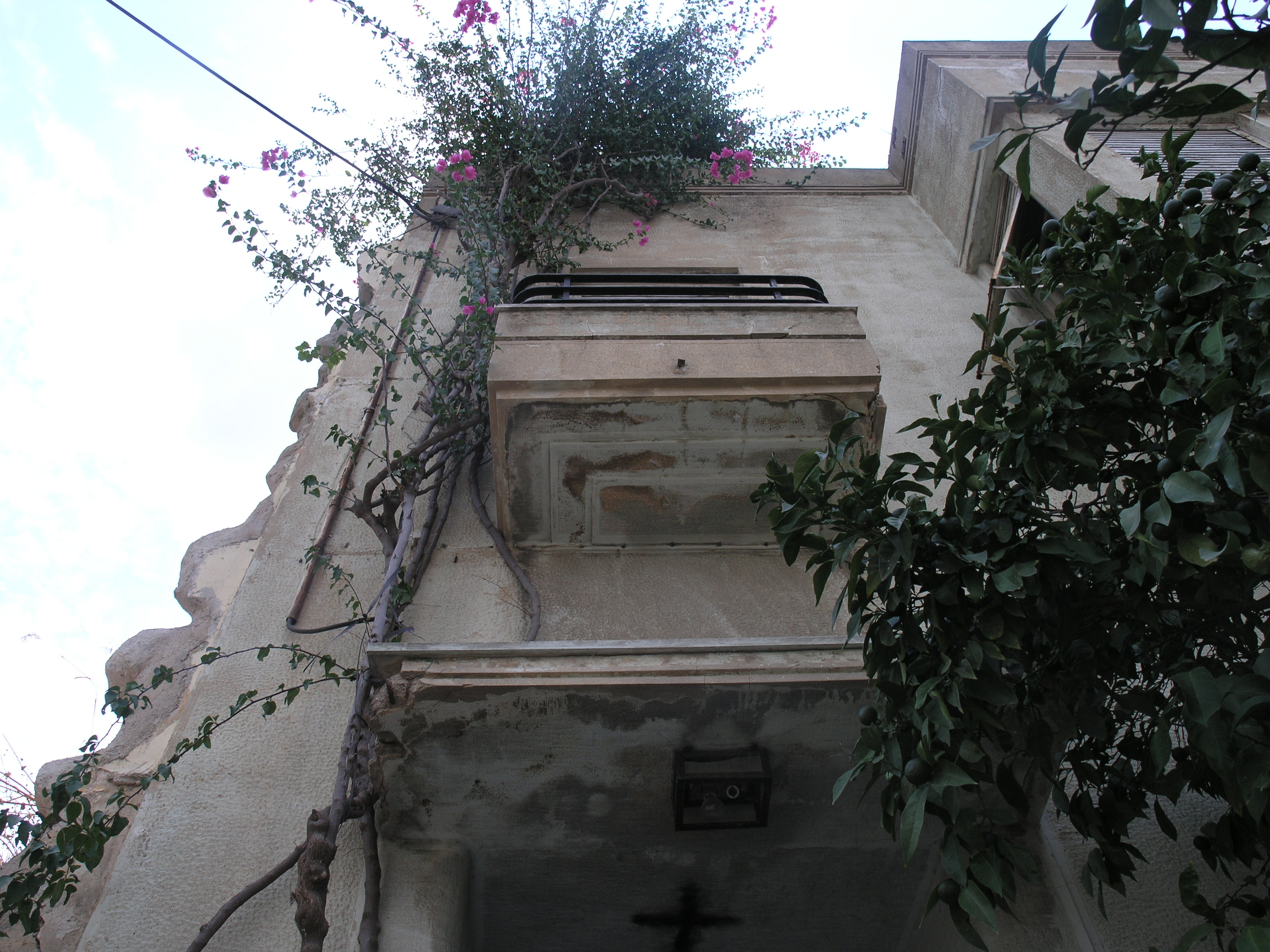 Λεπτομέρεια εξώστη