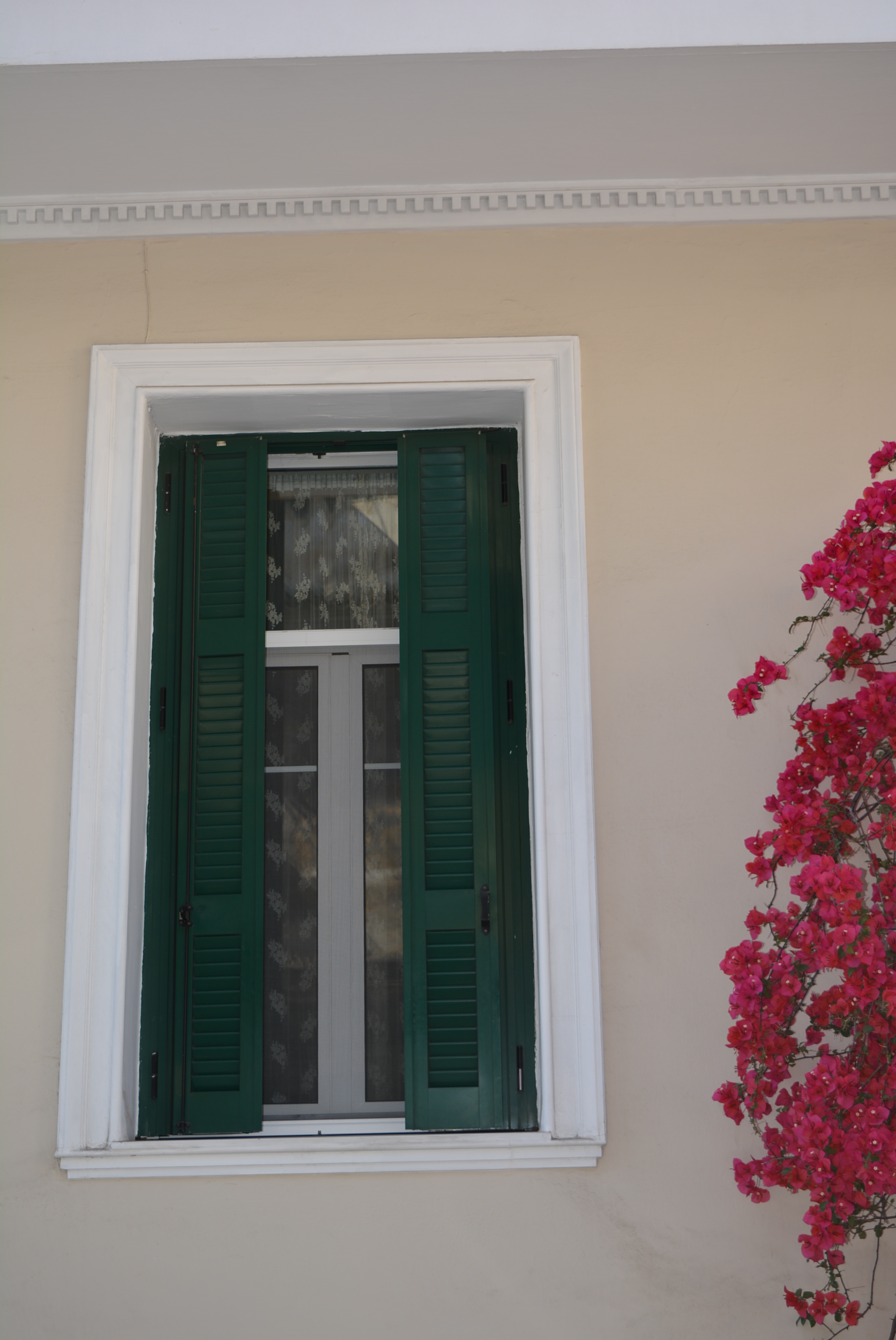 Γενική παραθύρου