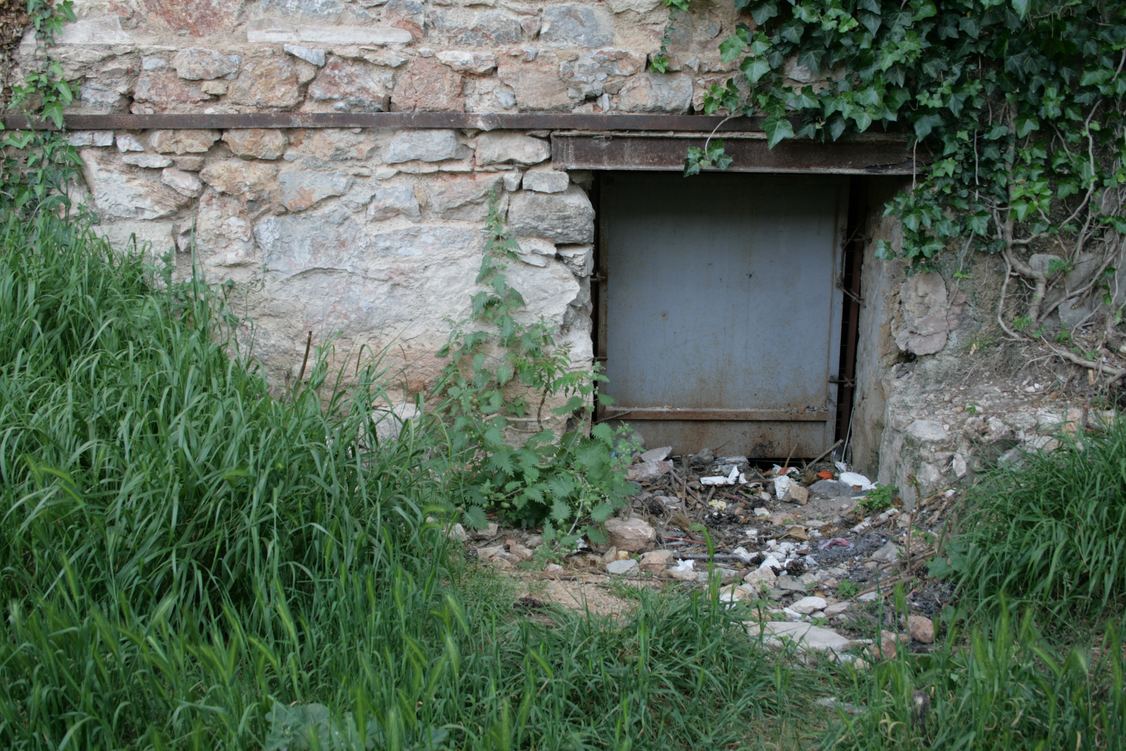 Basement window