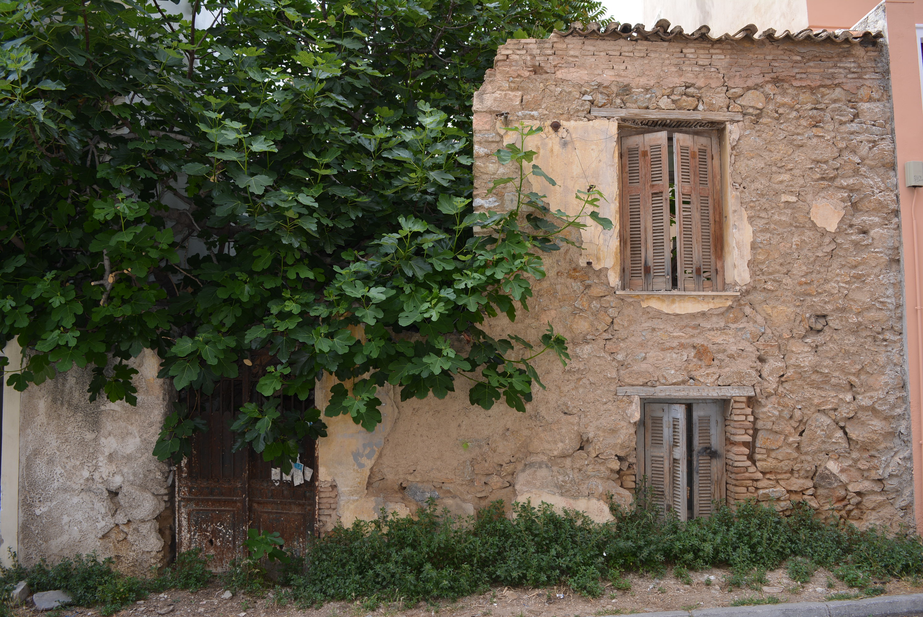 Γενική κύριας όψης