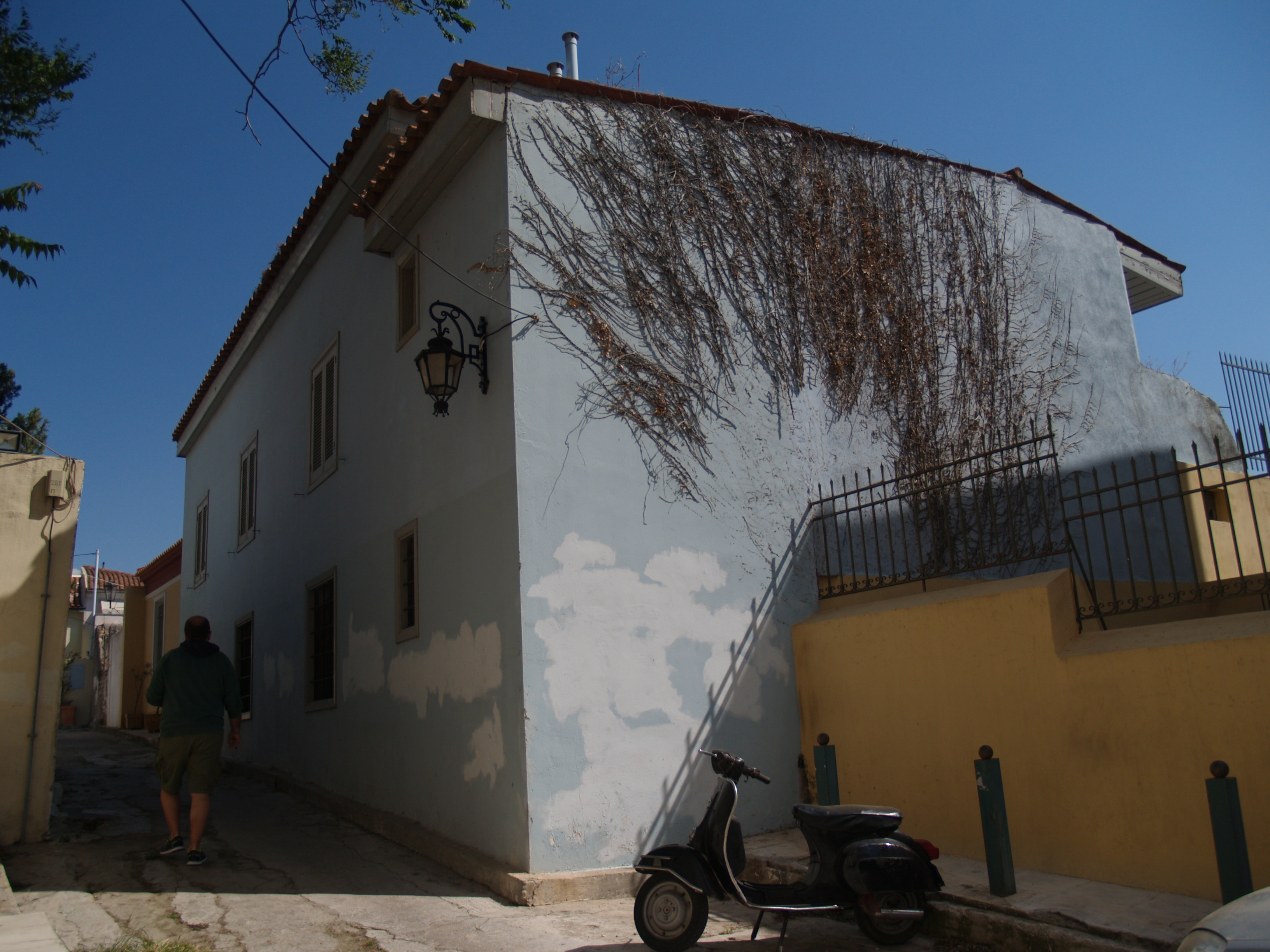 Back view