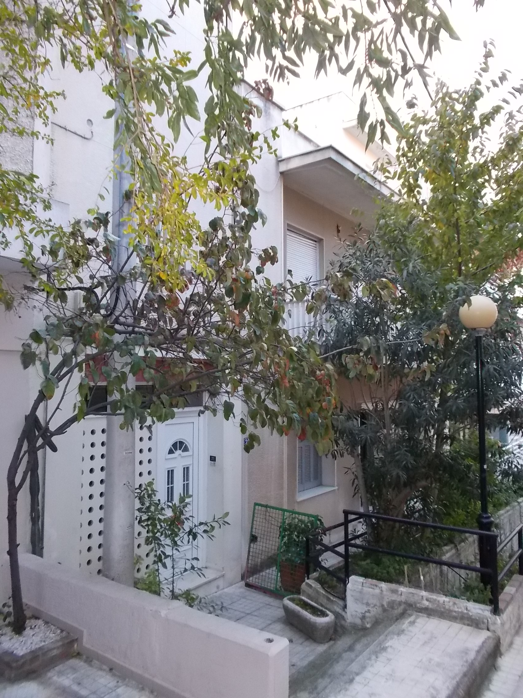 Γενική κύριας όψης