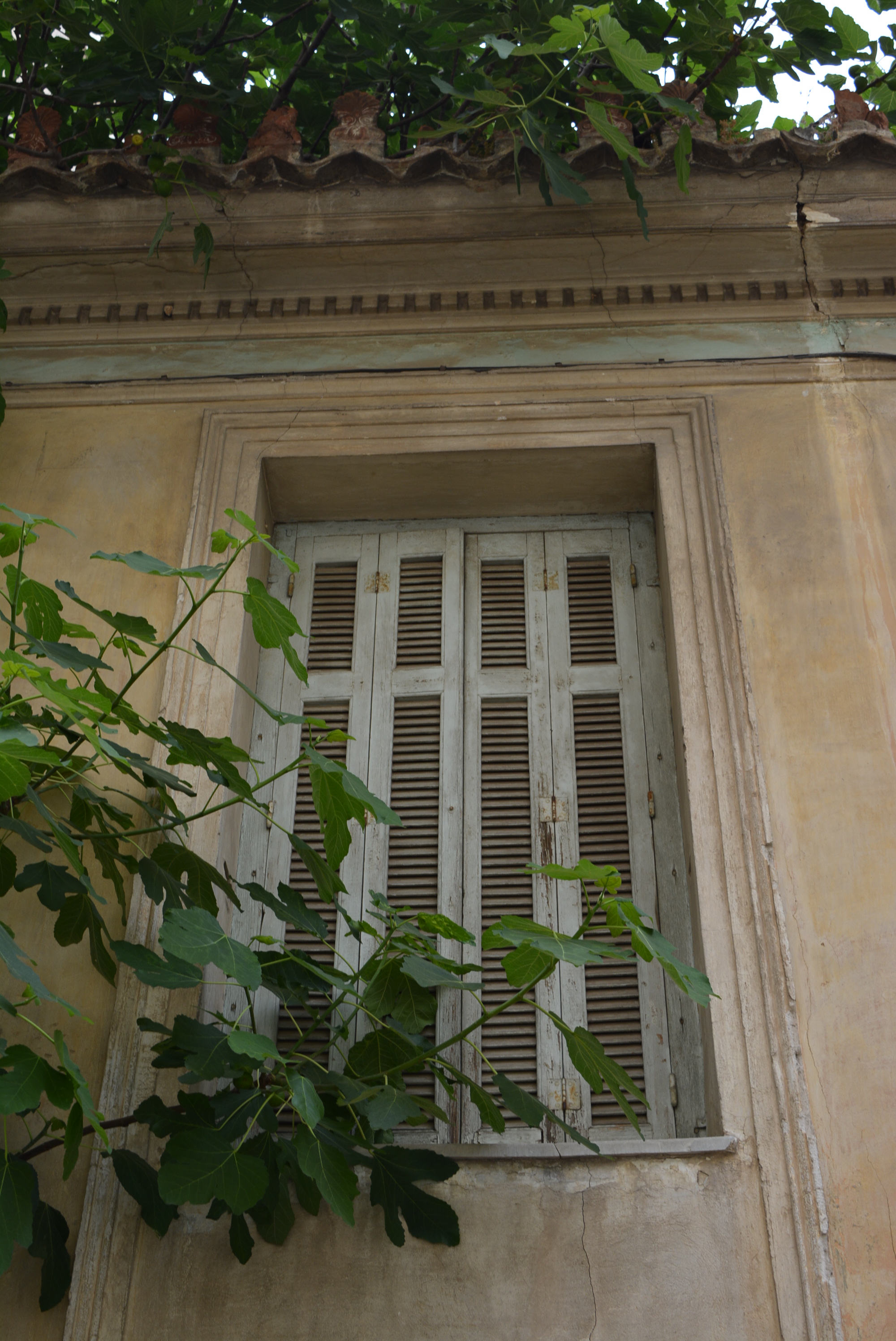 Γενική παραθύρου