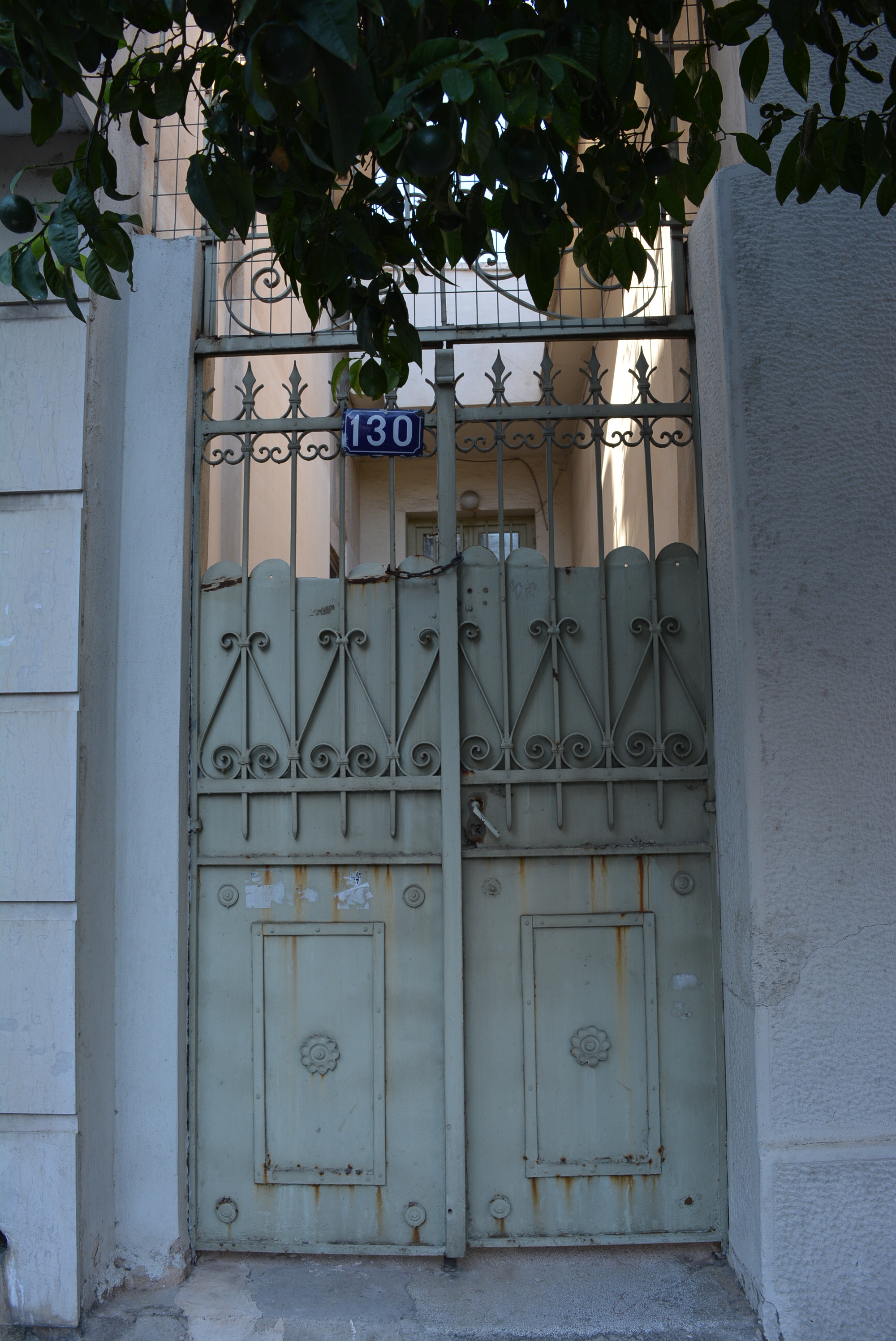 Γενική αυλόθυρας