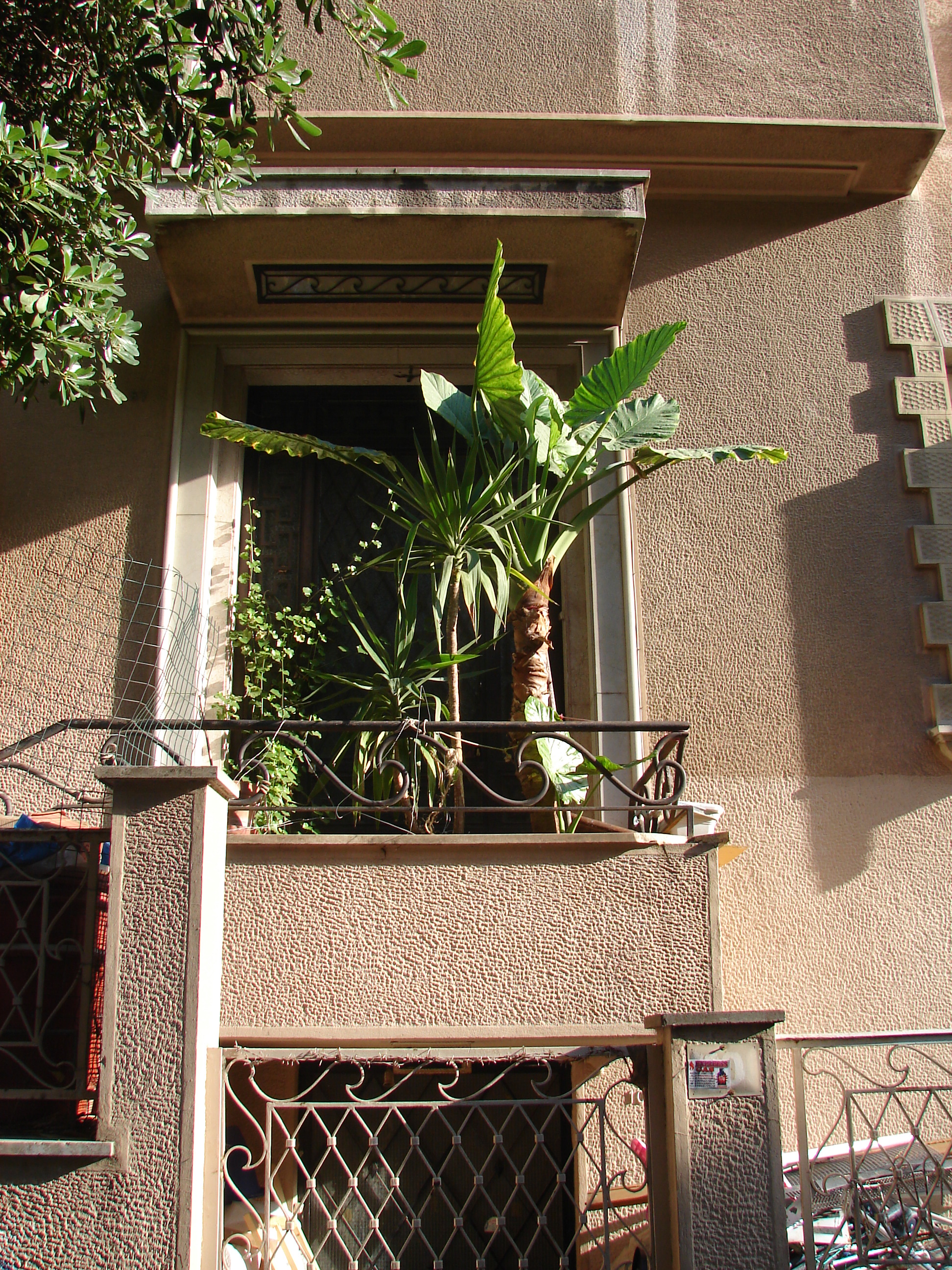 General view of the entrance on Fragistas street (2013)