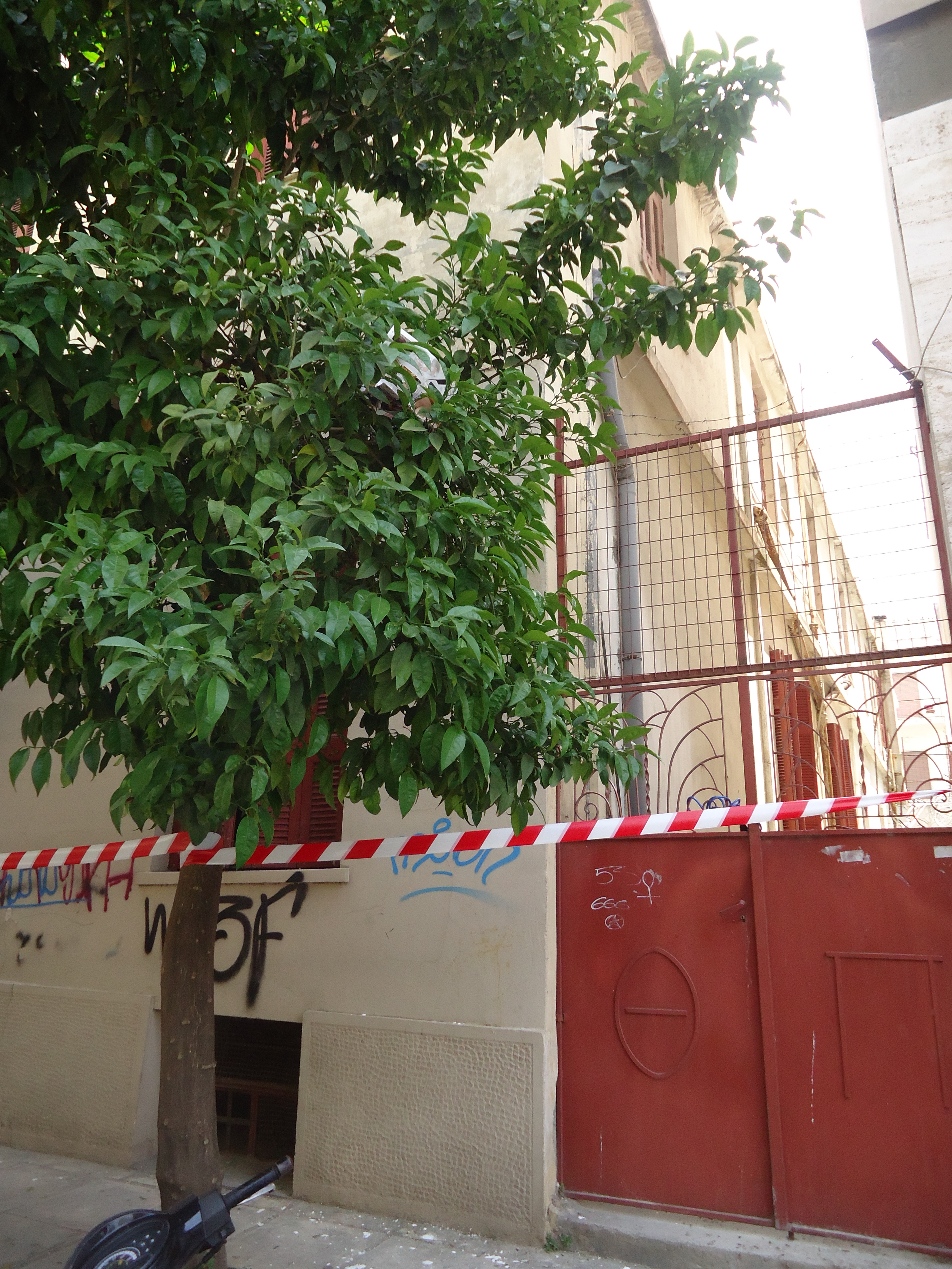 Γενική αυλόθυρας