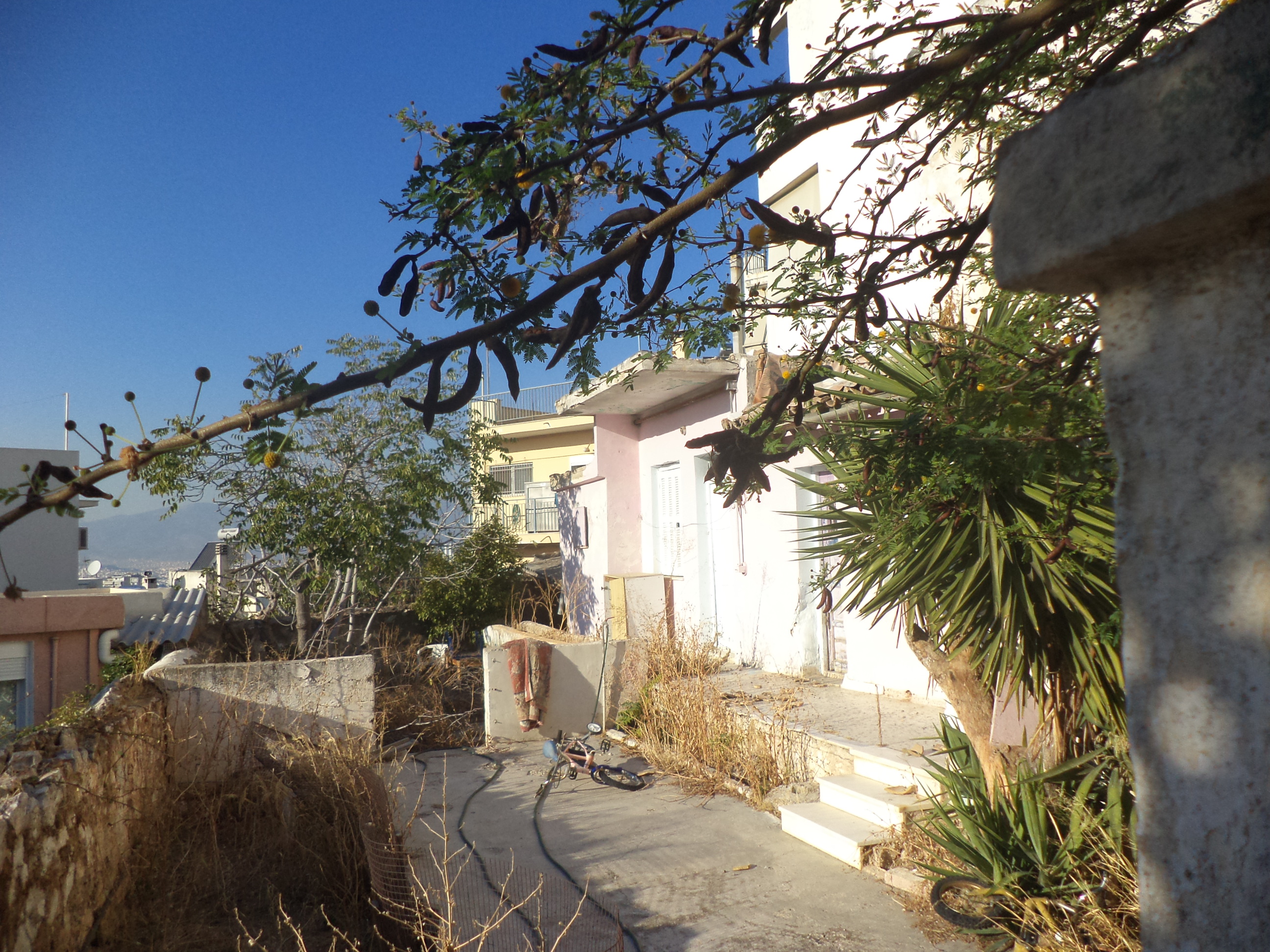 Γενική κύριας όψης