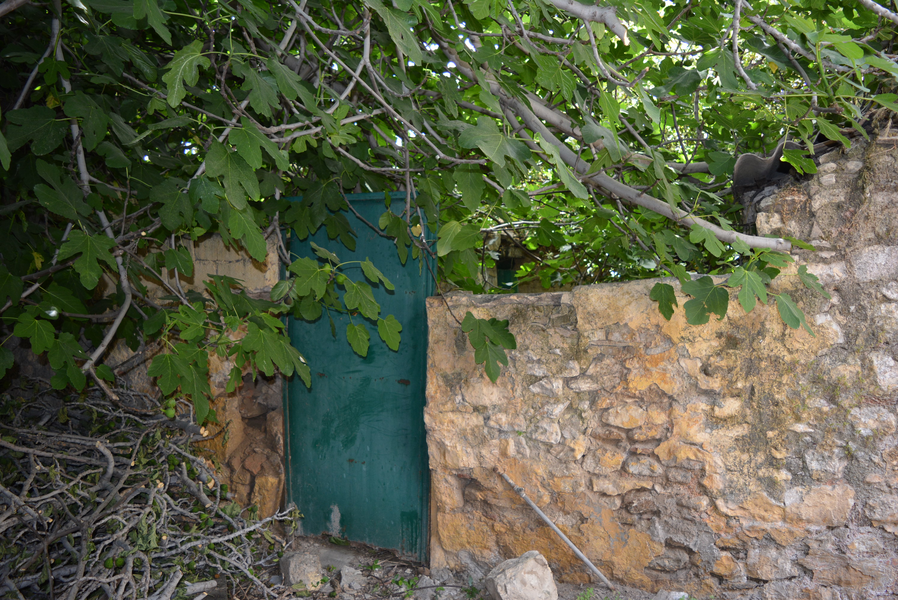 Γενική αυλόθυρας
