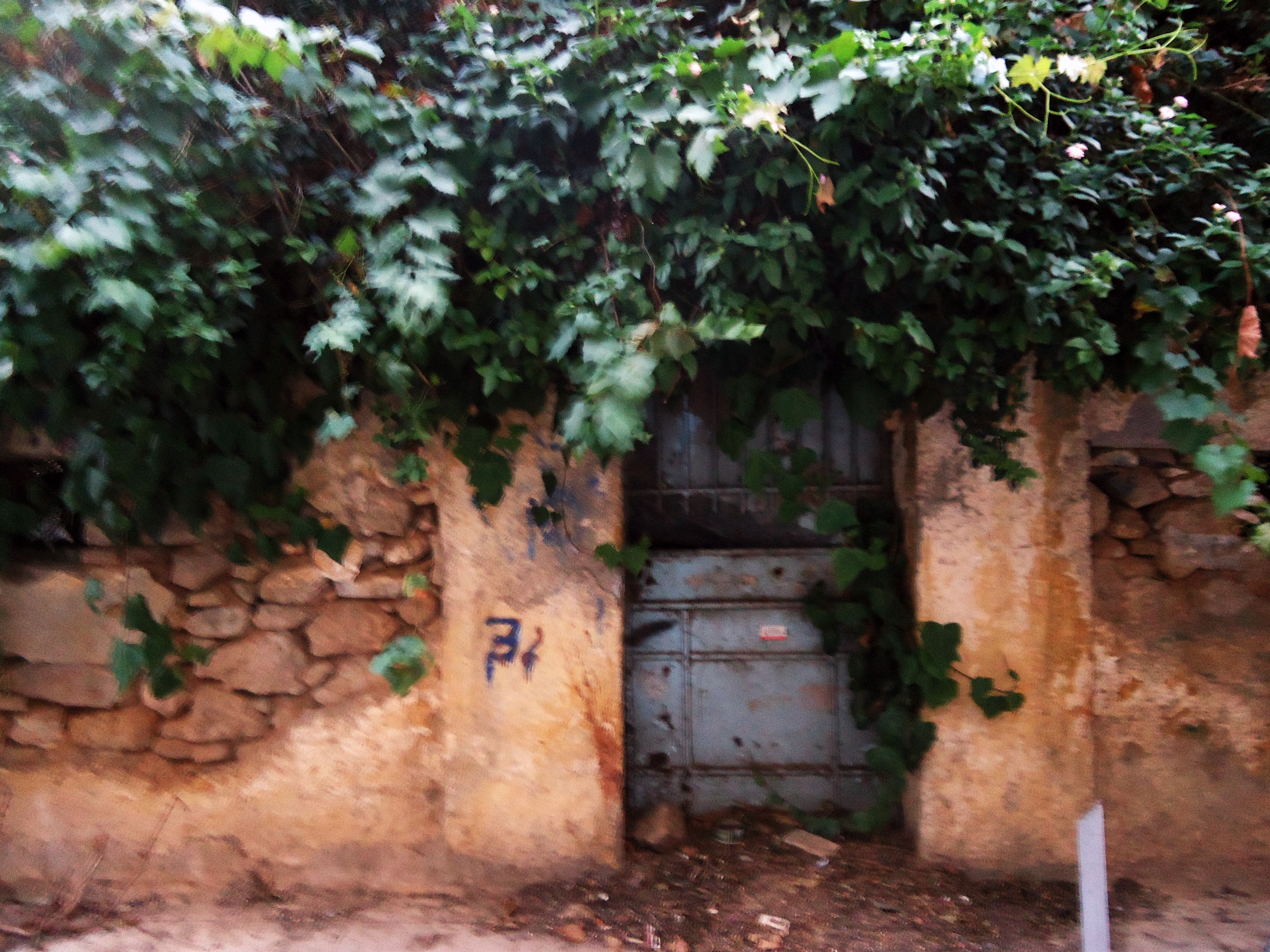 Λεπτομέρεια αυλόγυρου