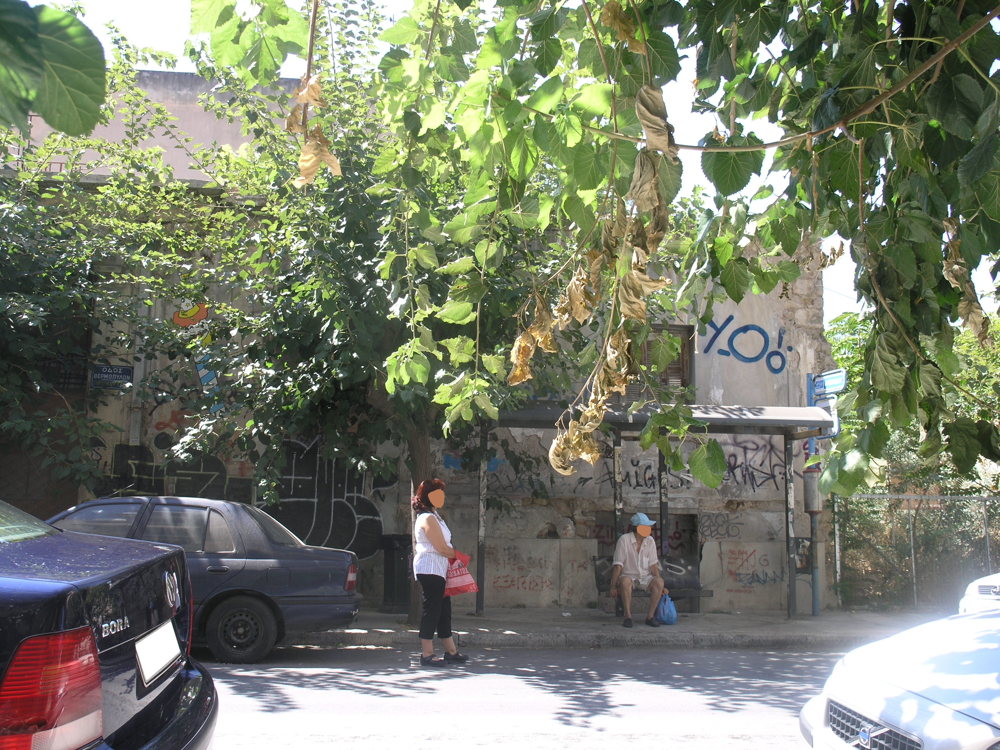 Γενική κύριας όψης