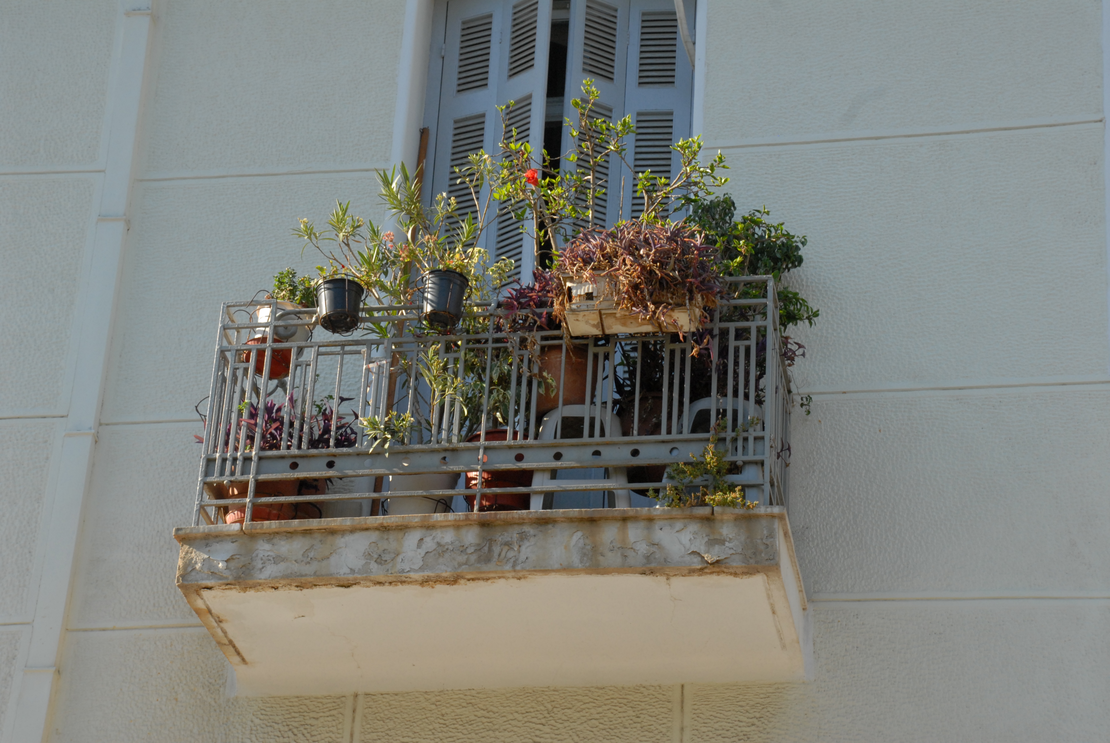 General view of the balcony