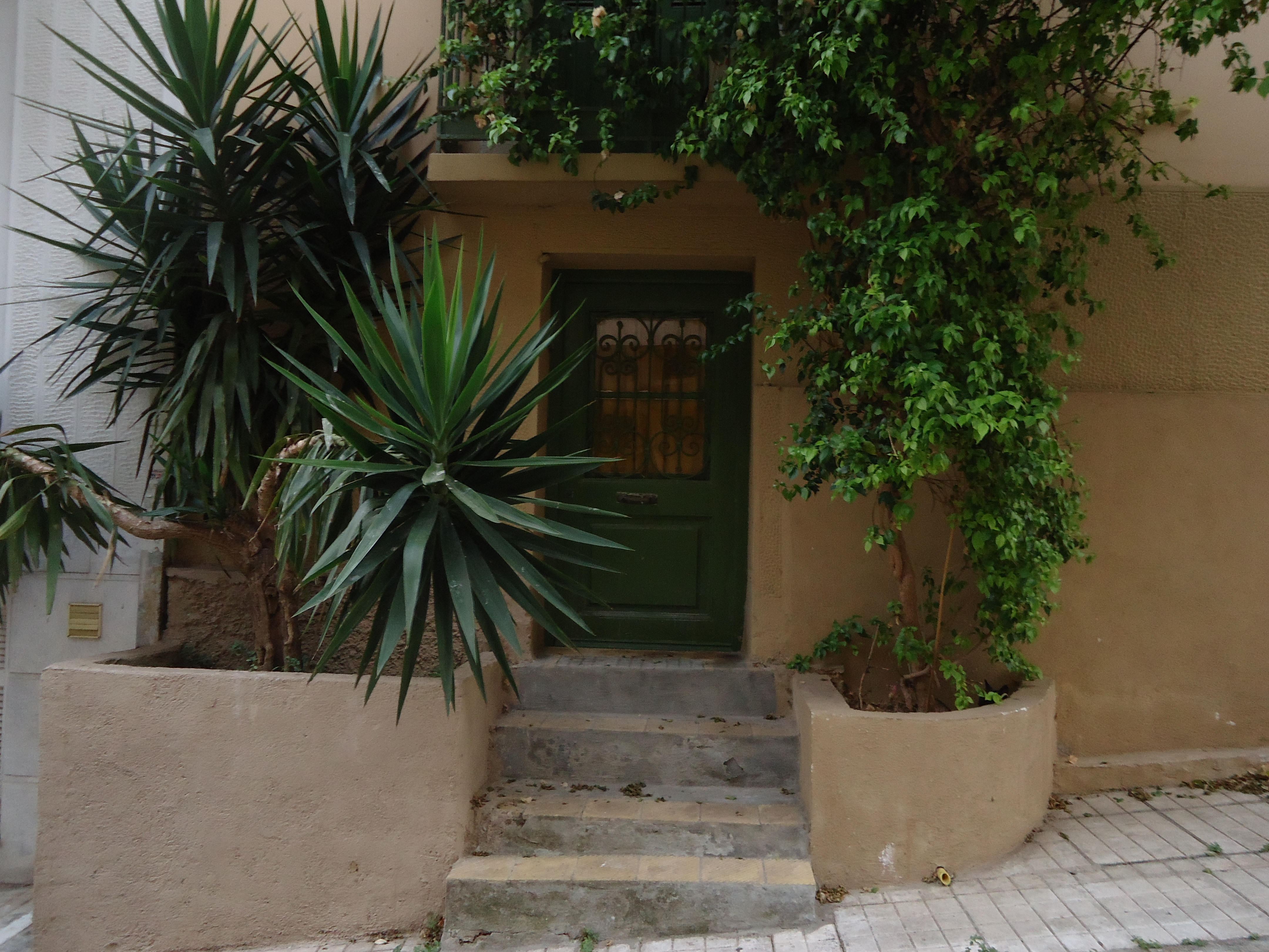 Basement's door