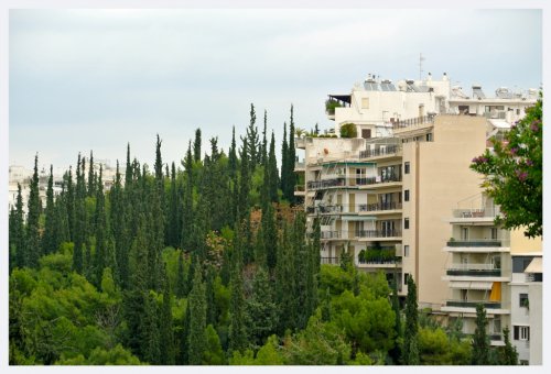 Ελιάνα Ψάλτη 1