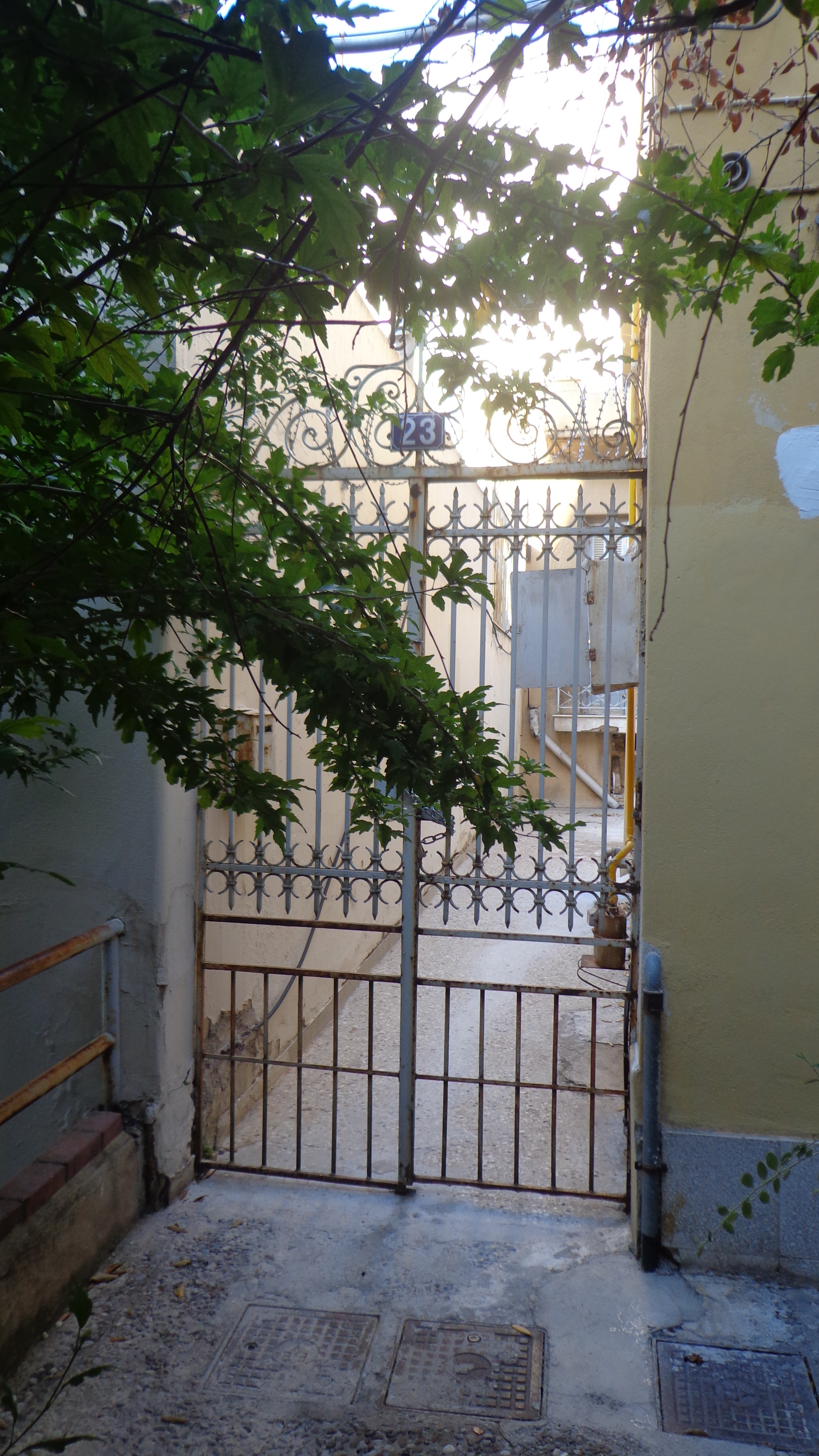 Γενική αυλόθυρας