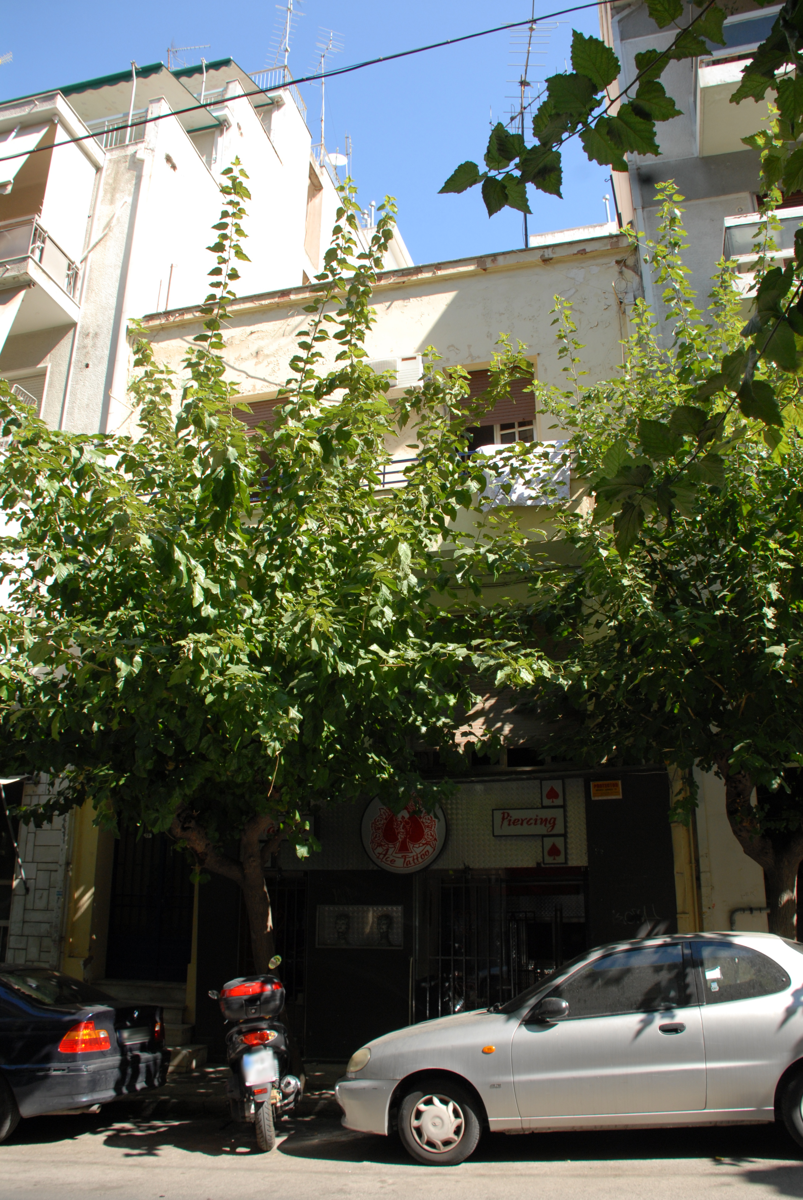 Γενική κύριας όψης