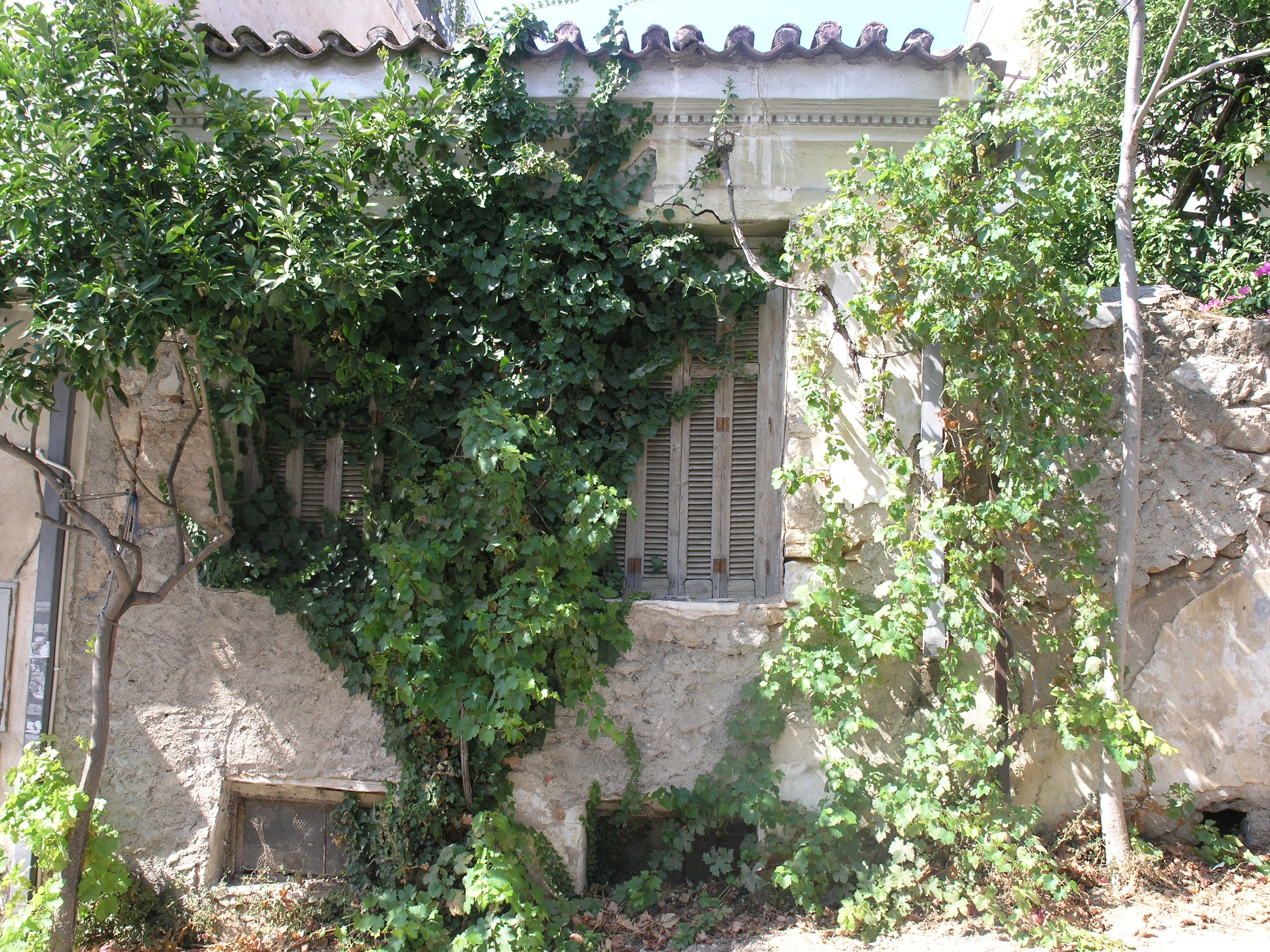 Λεπτομέρεια όψης