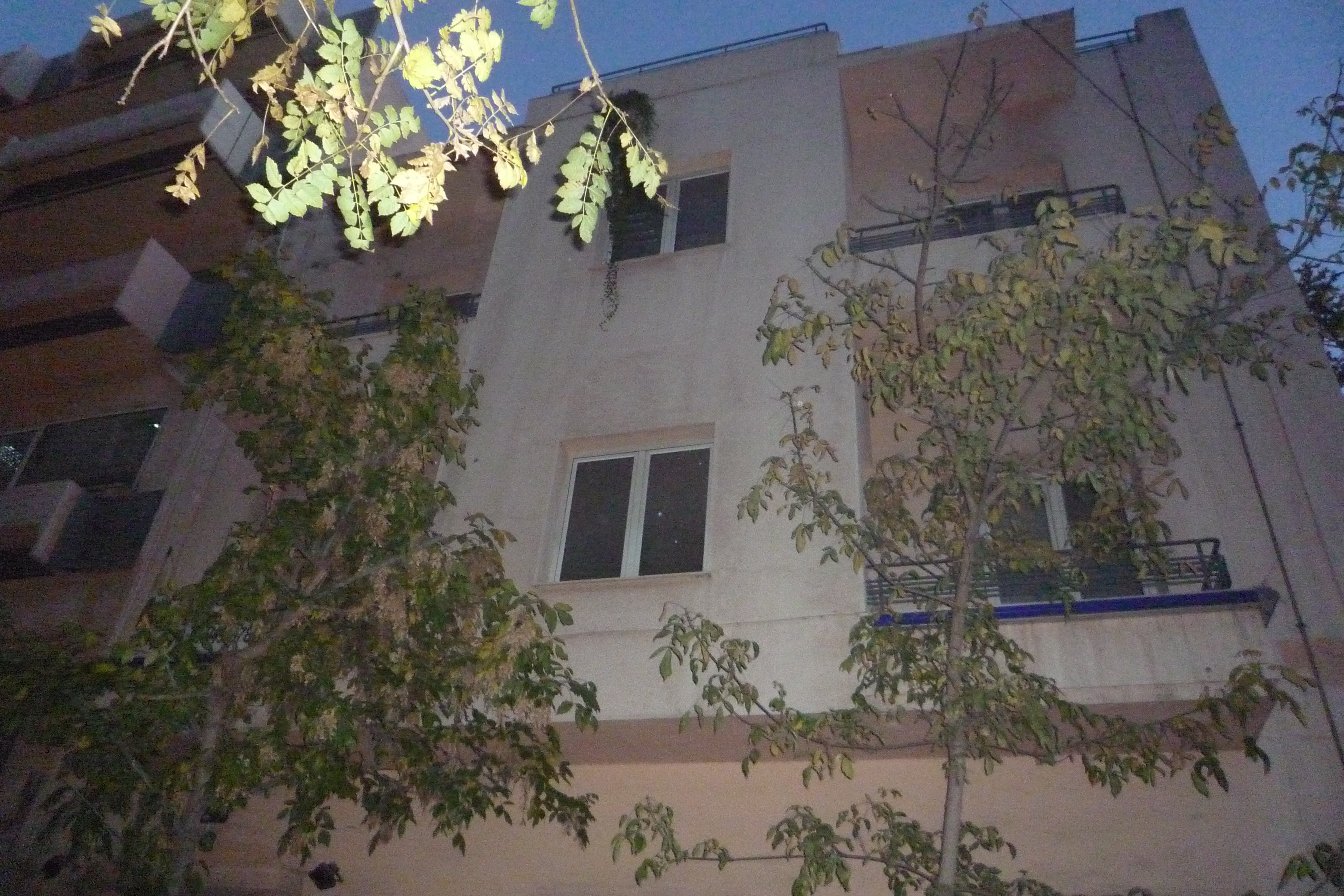 Λεπτομέρεια όψης