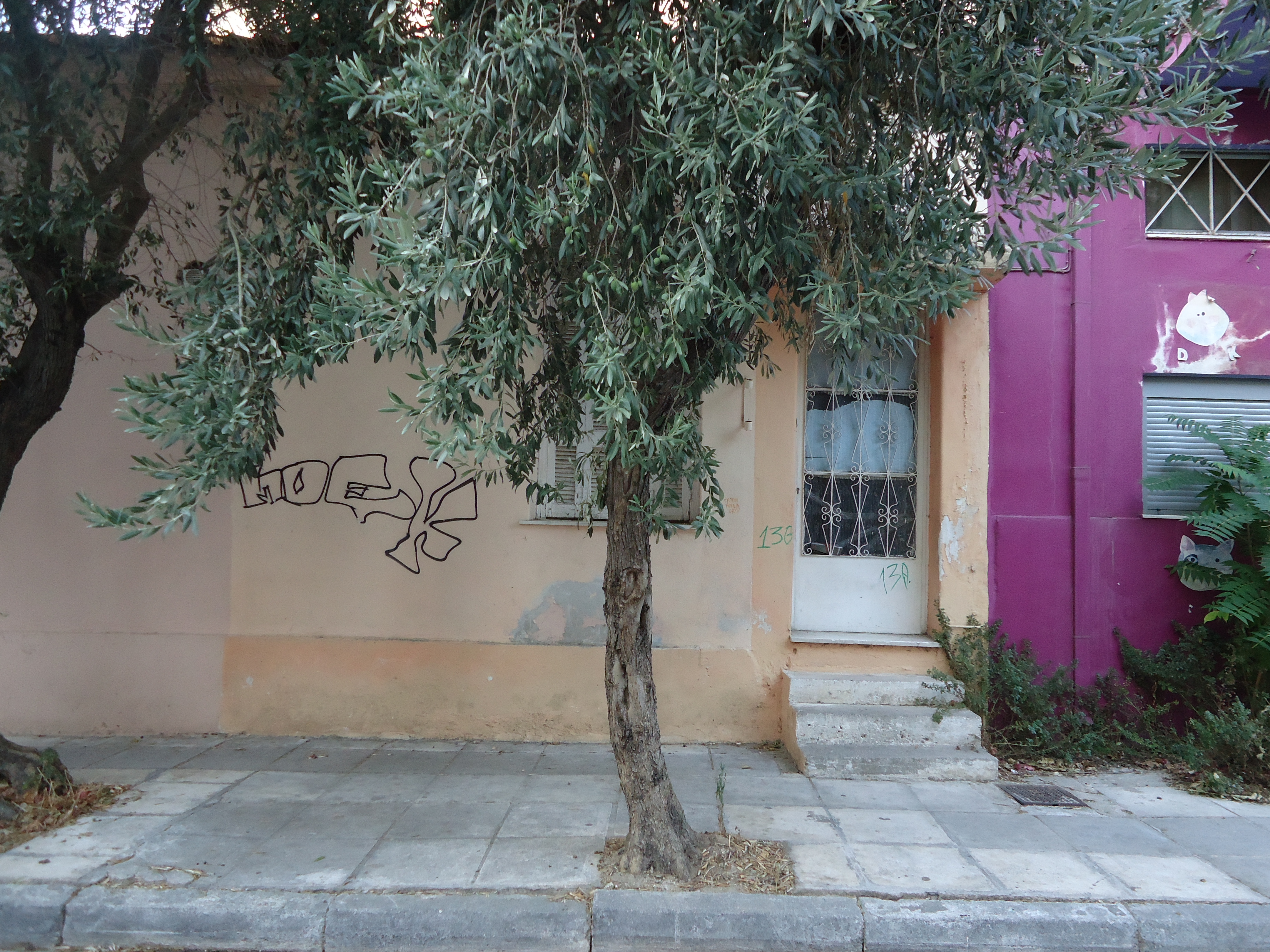 Γενική όψης δεξιάς κατοικίας