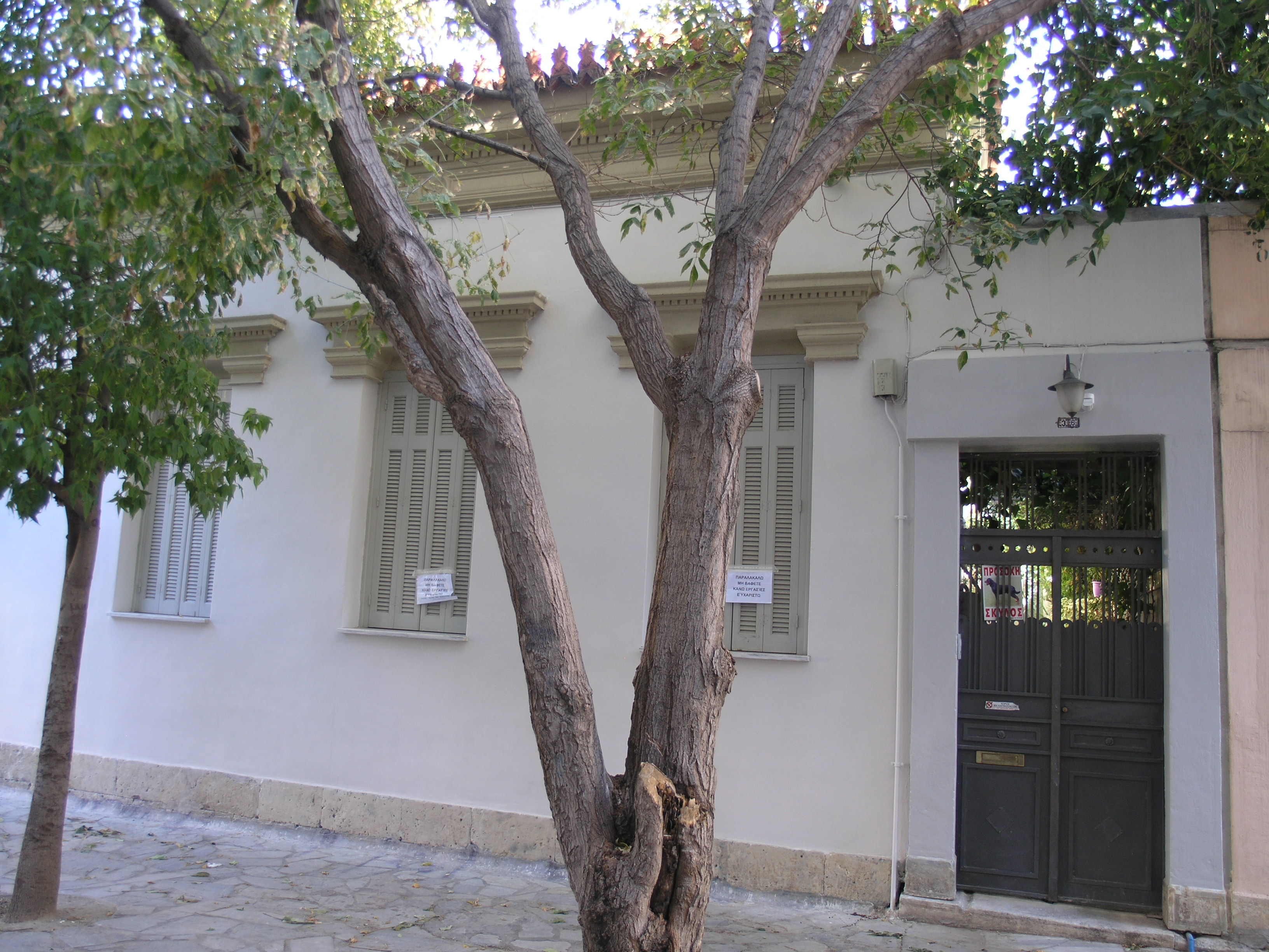 Γενική κύριας όψης