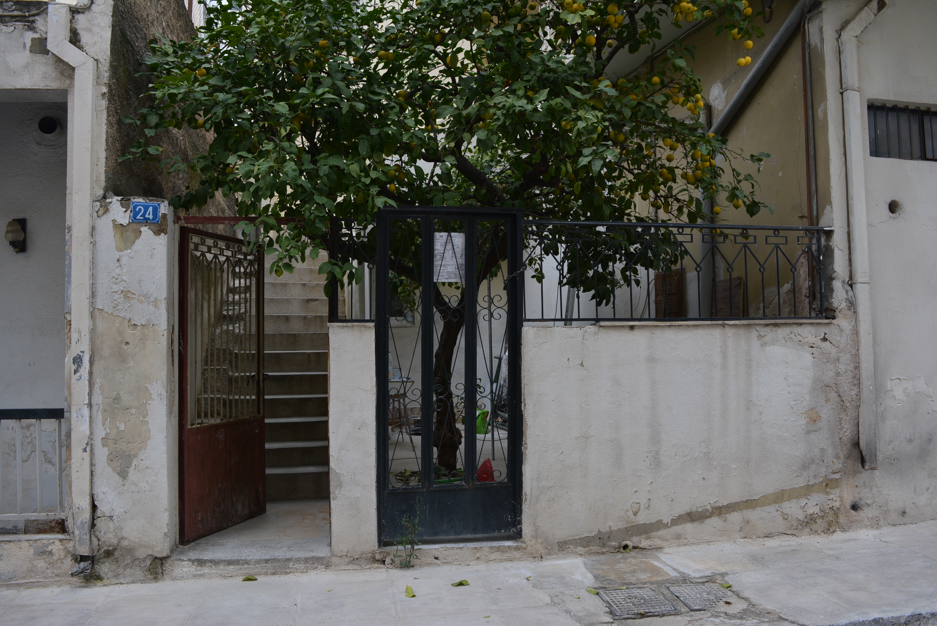 Γενική αυλόπορτας