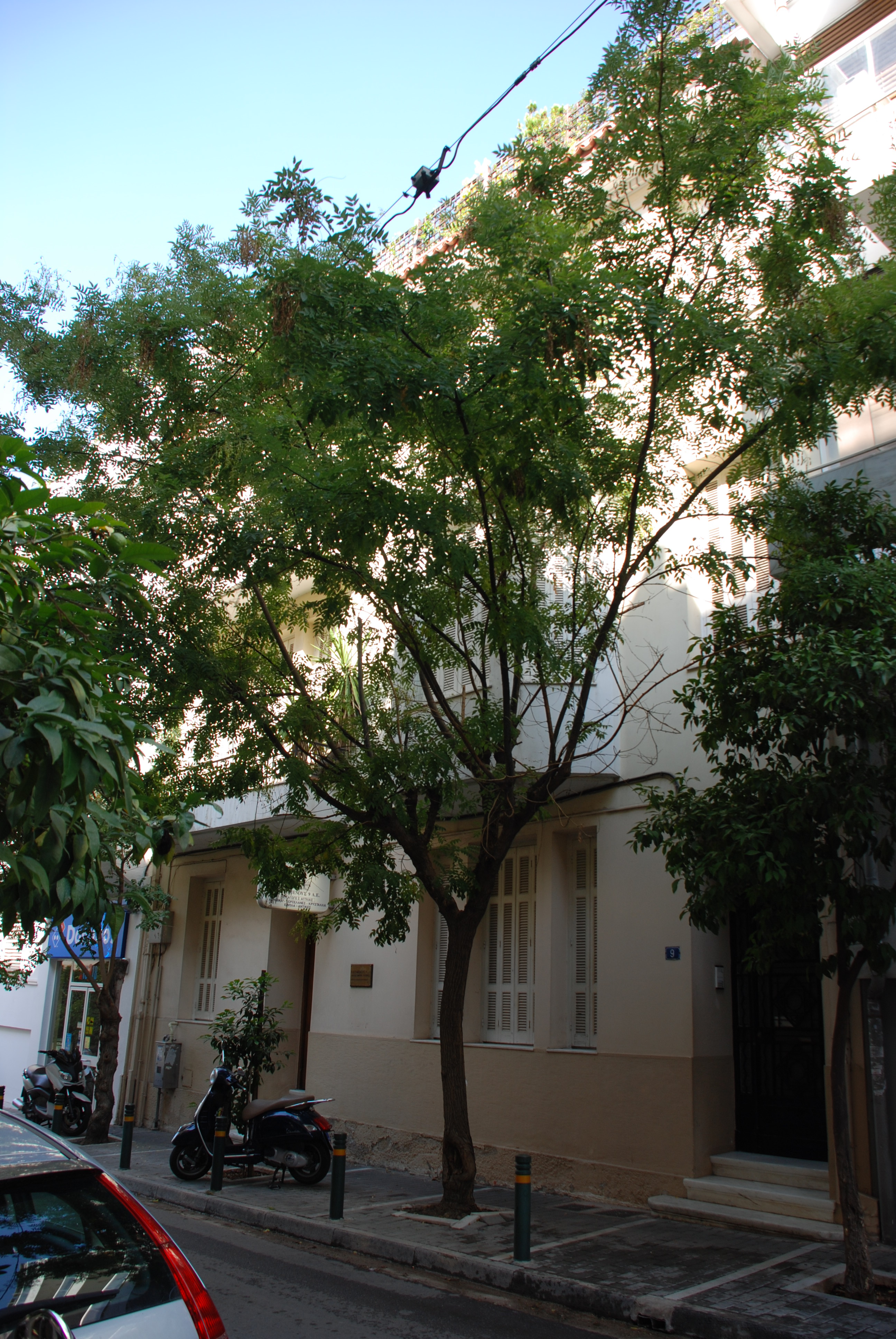 Γενική κύριας όψης