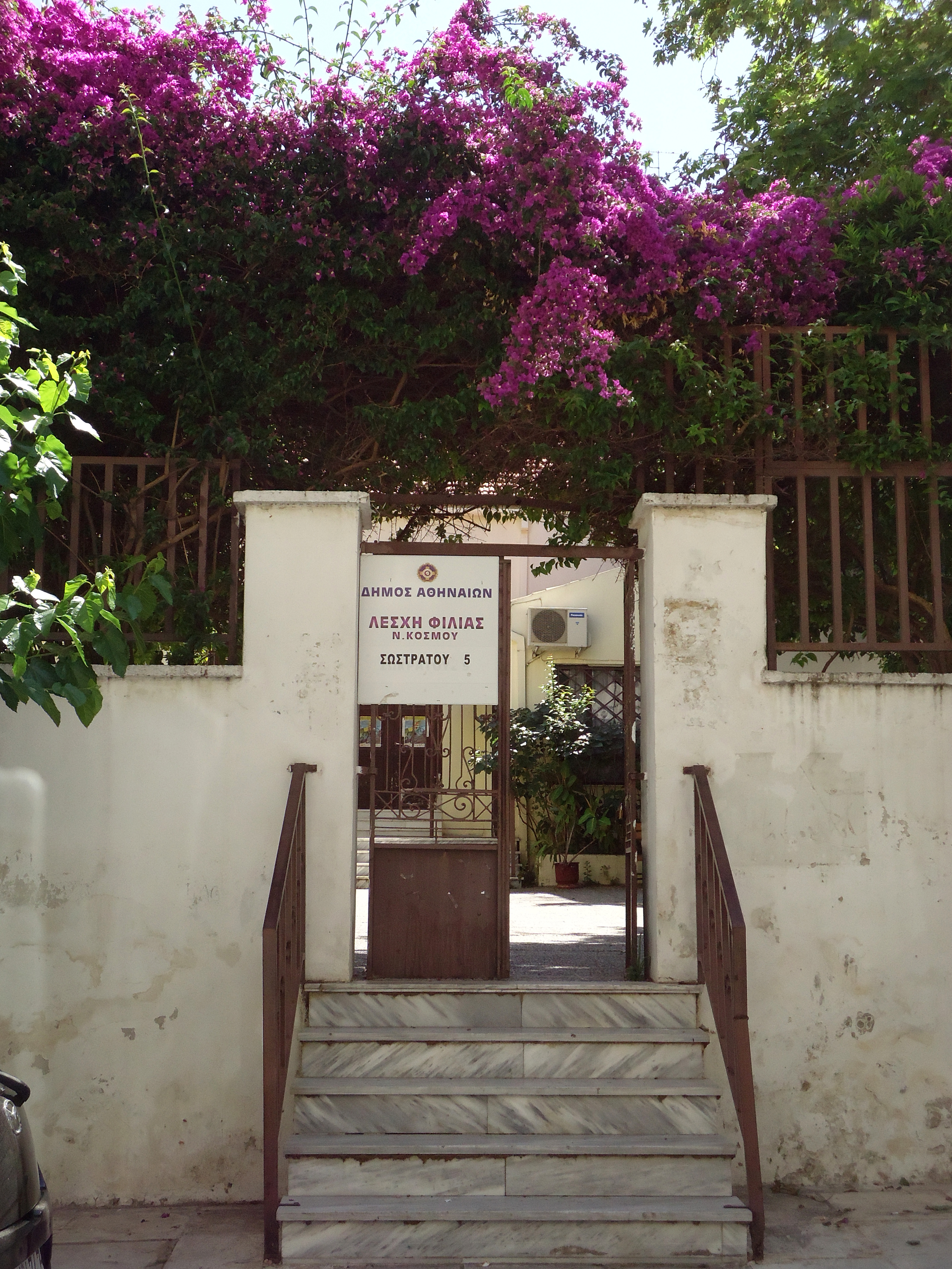 View of the yard door