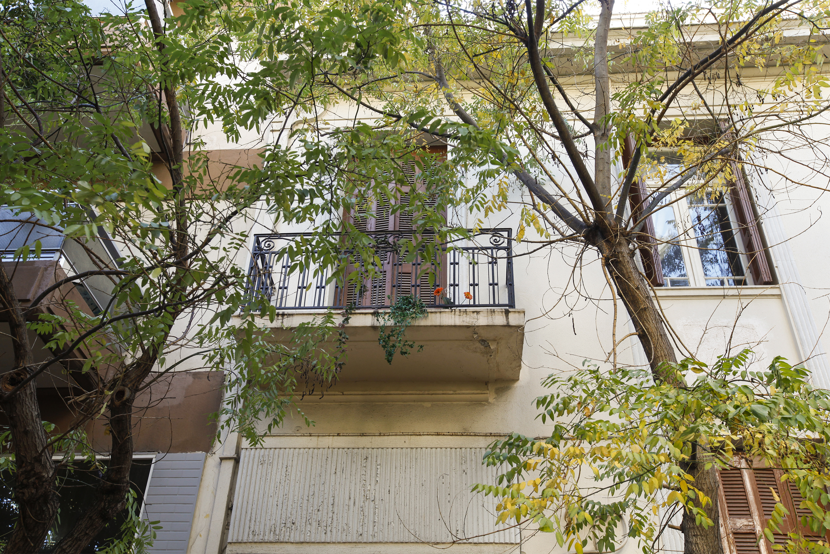Γενική εξώστη