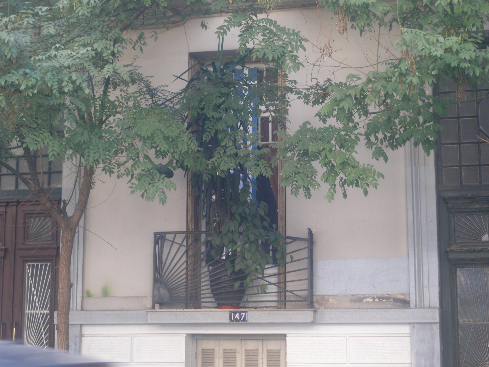 Γενική εξώστη