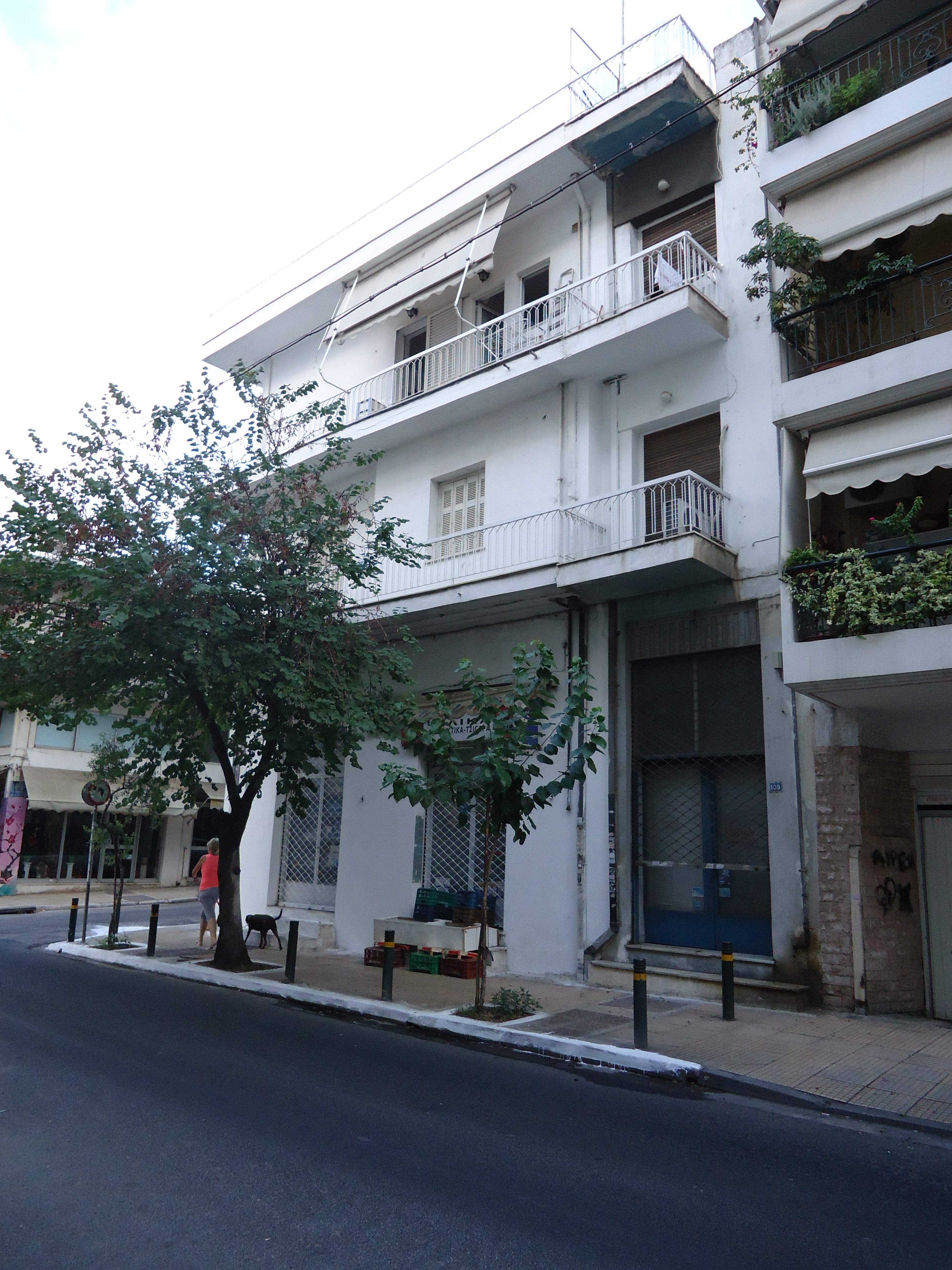Γενική όψη από την οδό Δημοφώντος