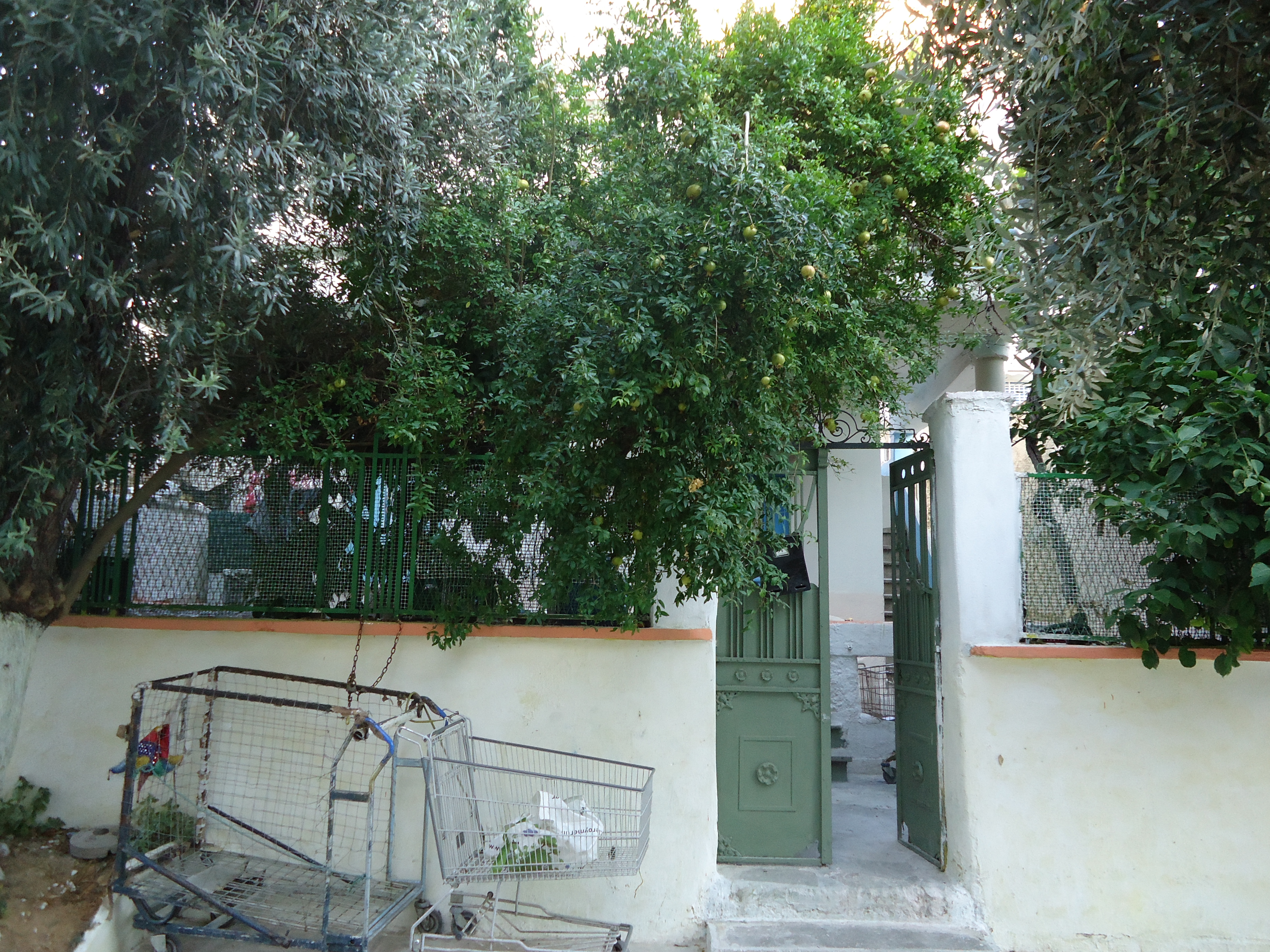 Λεπτομέρεια πρόσοψης