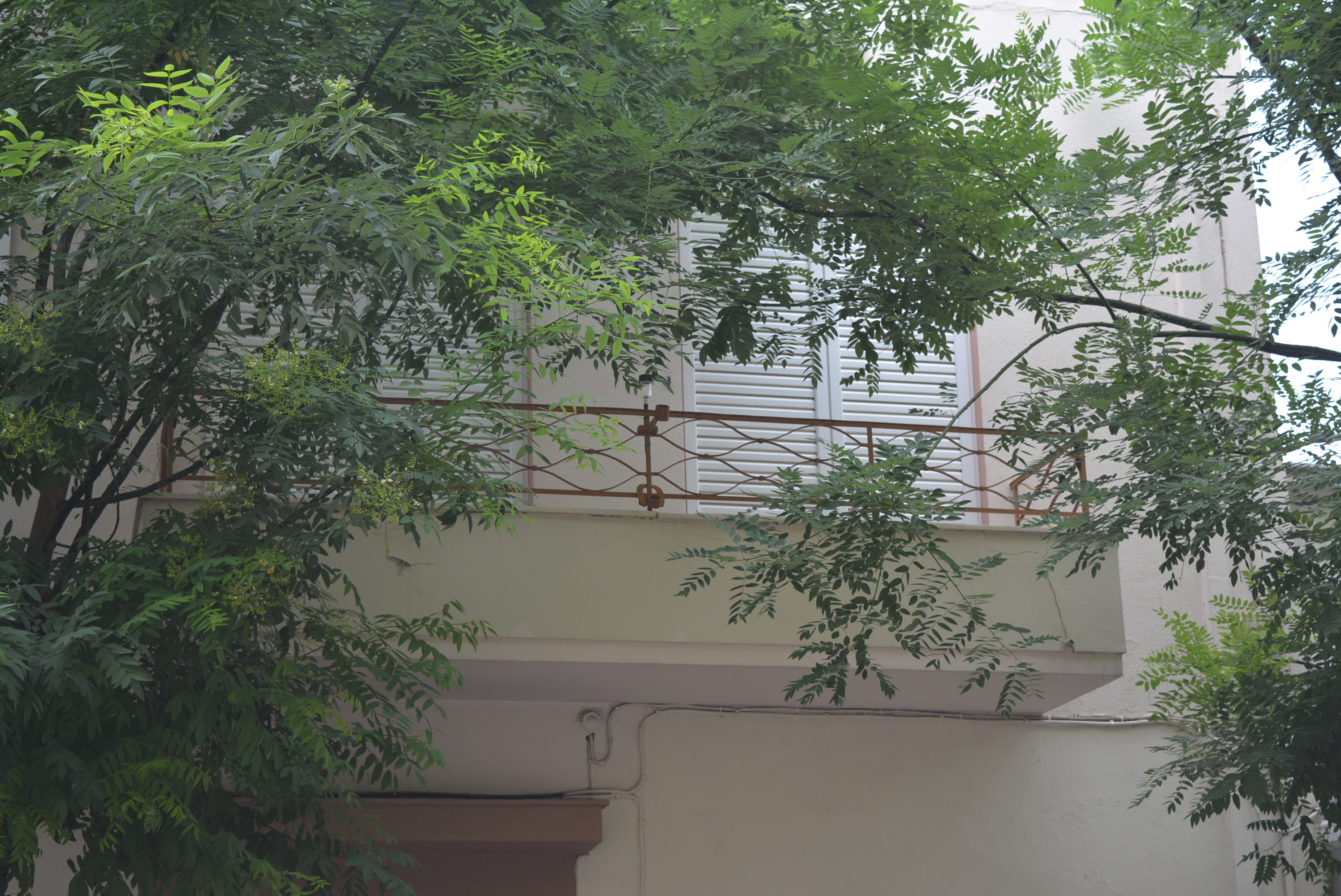 Detail of façade and balcony (2015)