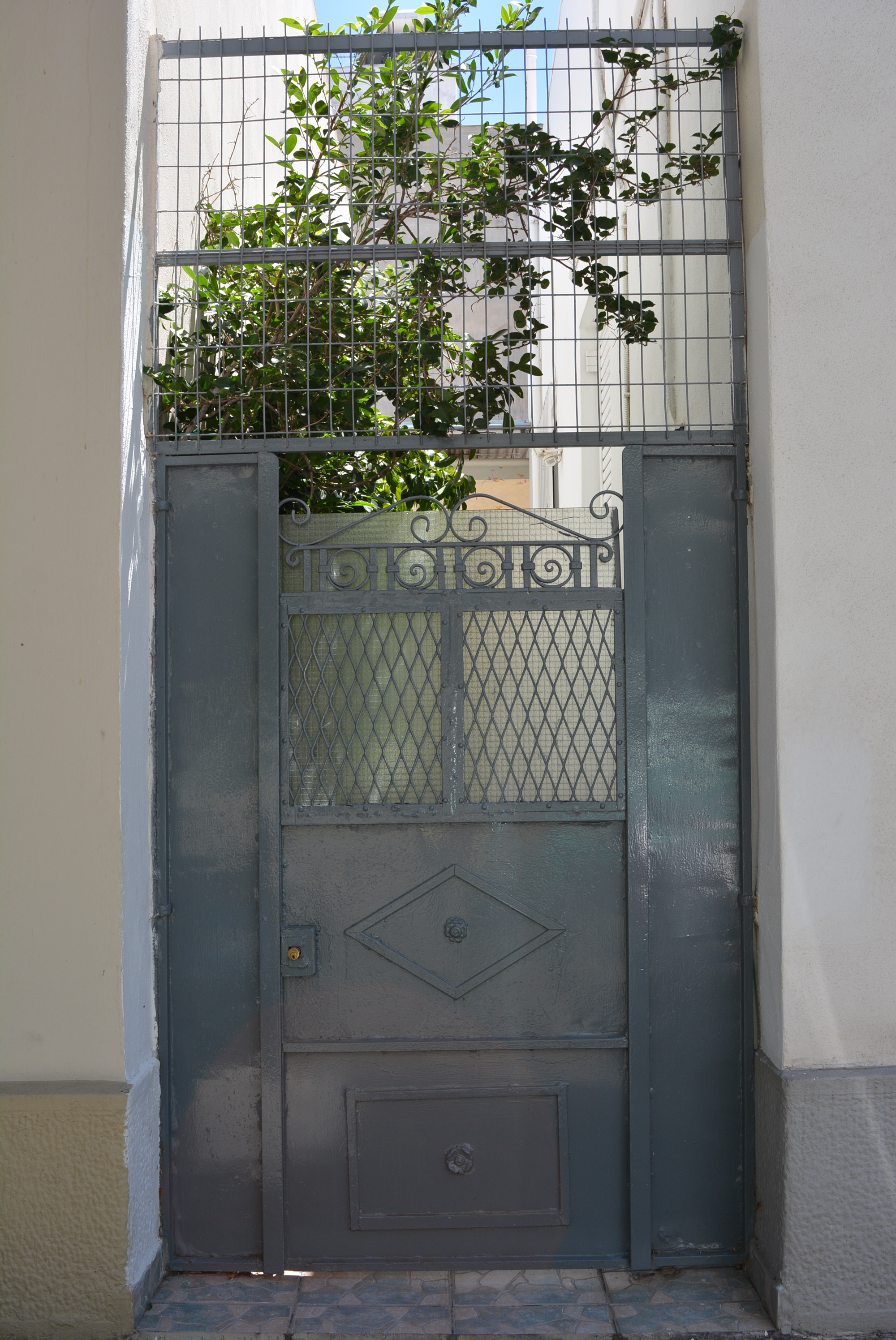 Γενική αυλόθυρας
