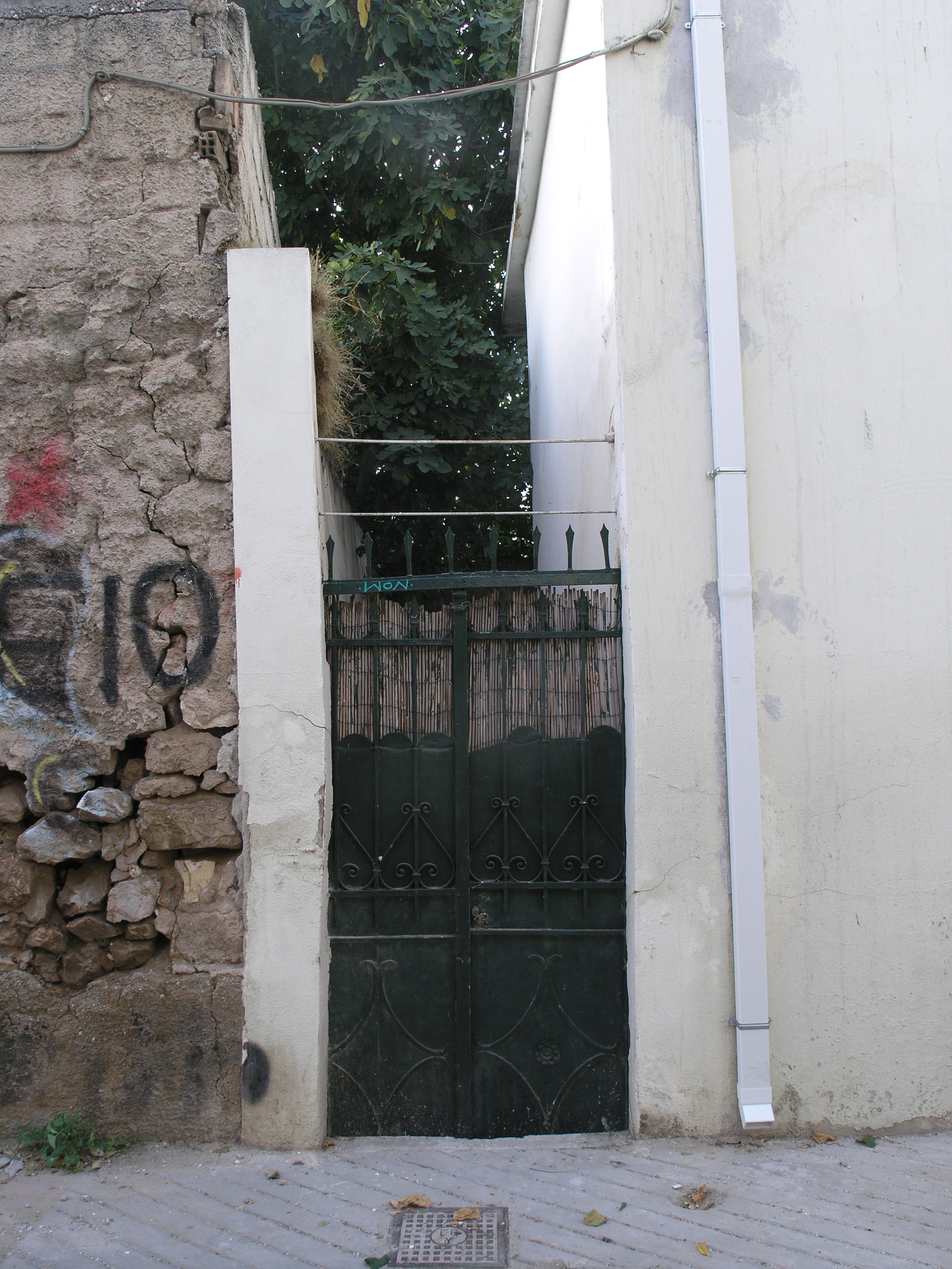 Γενική αυλόθυρας