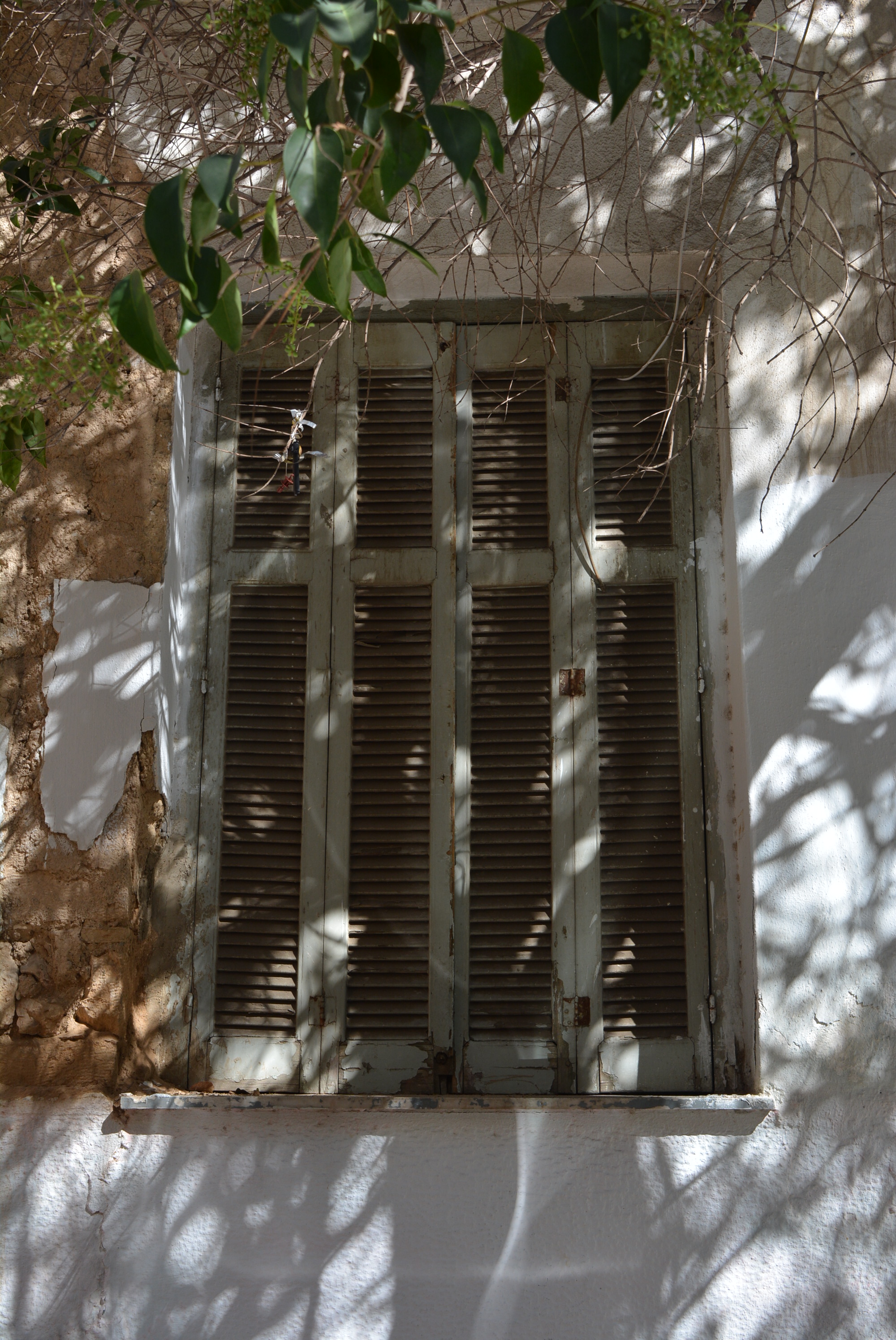 Γενική παραθύρου