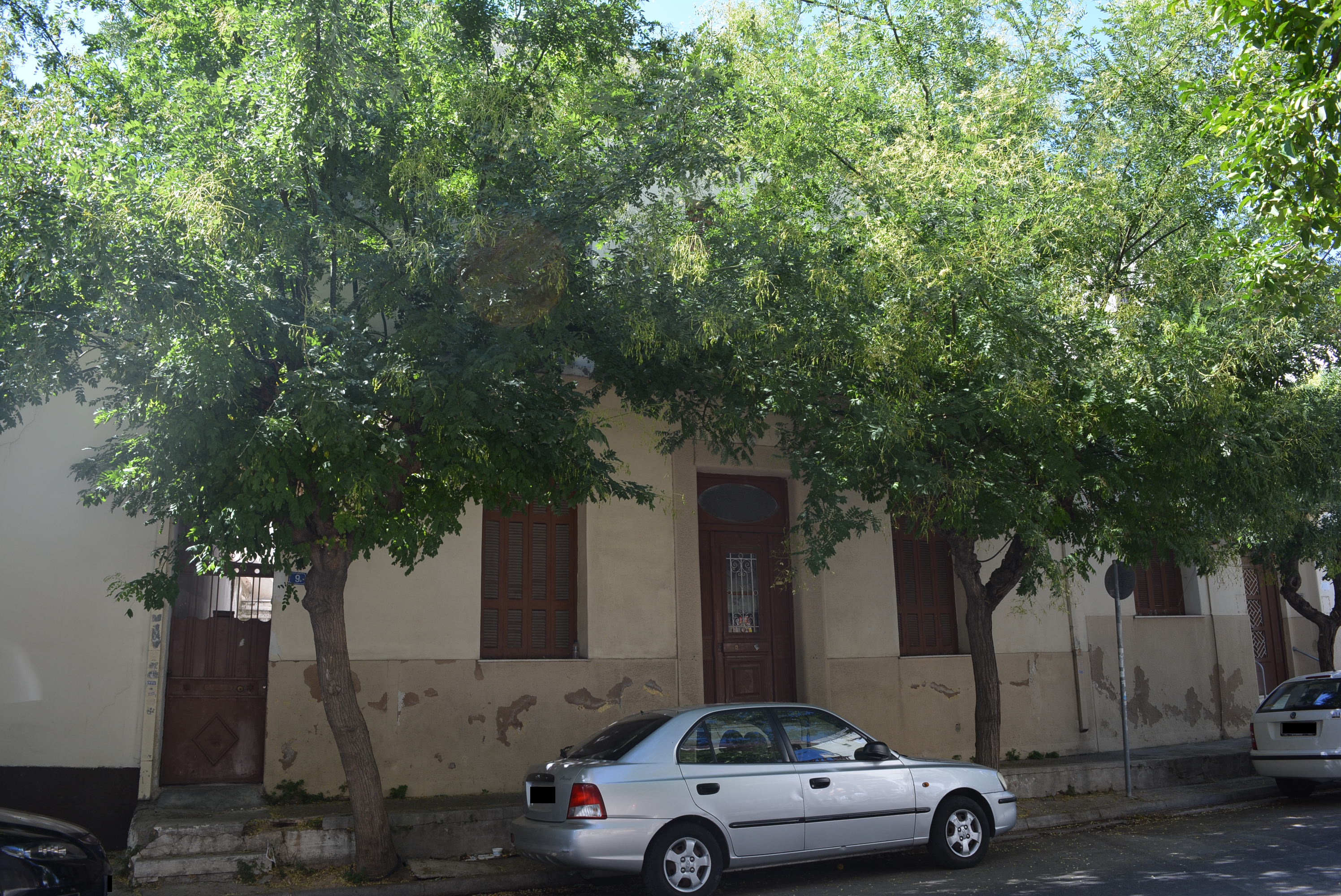 Γενική κύριας όψης