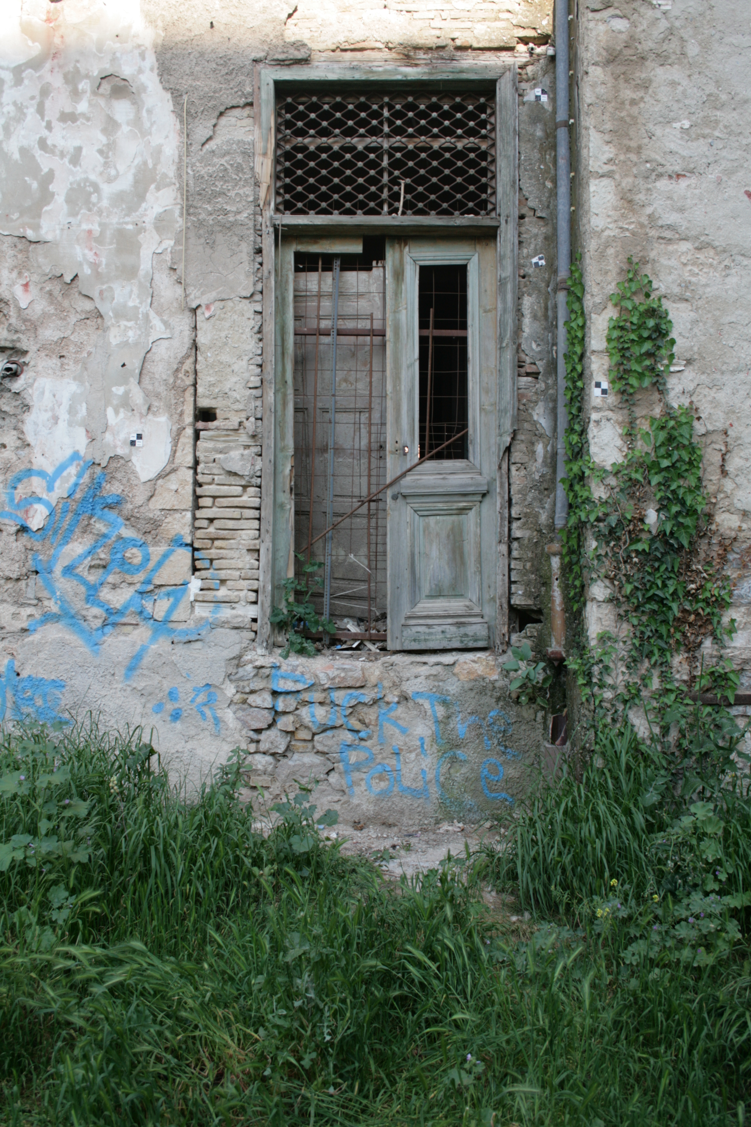 Back door