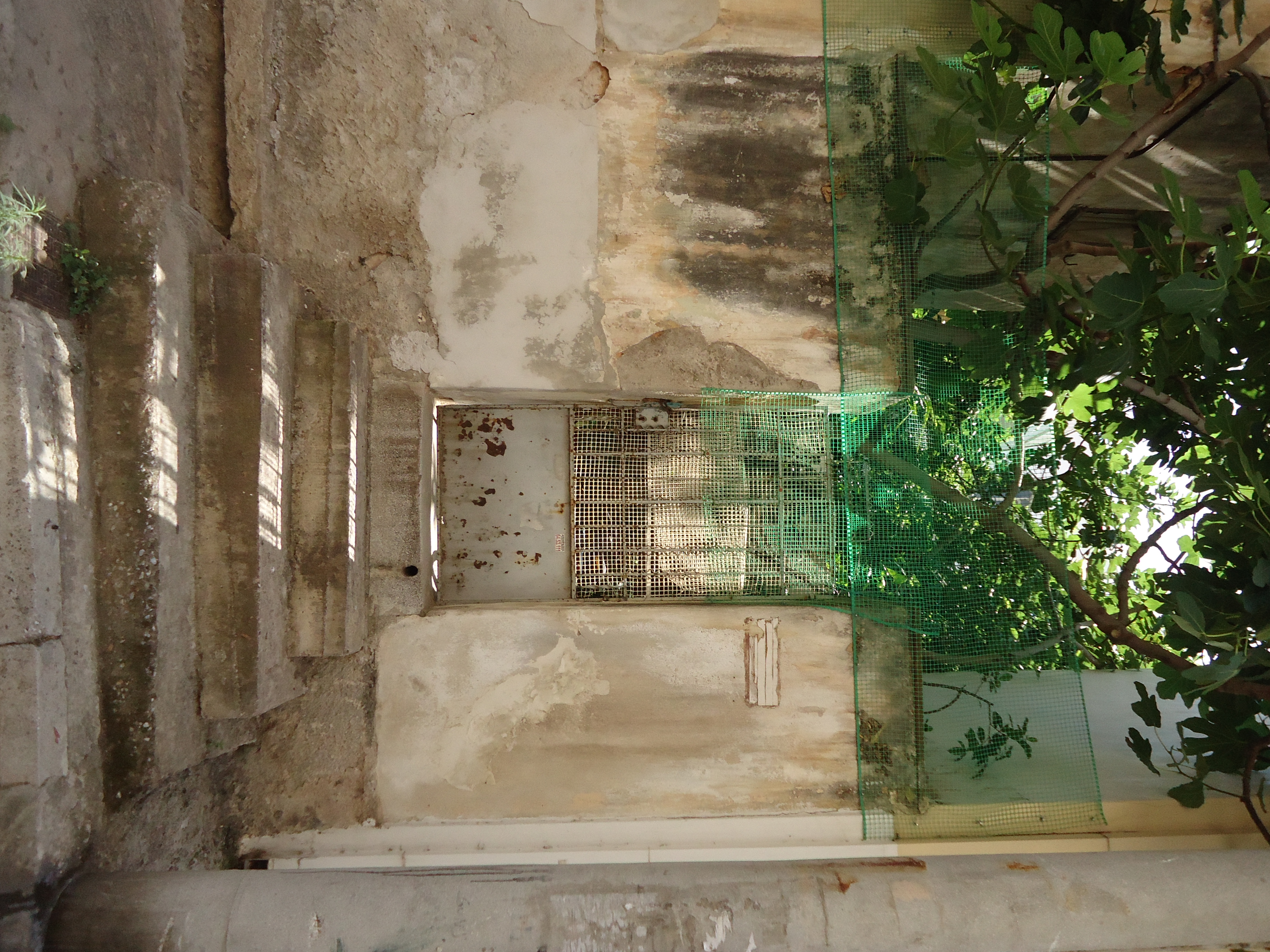 Γενική αυλόθυρας