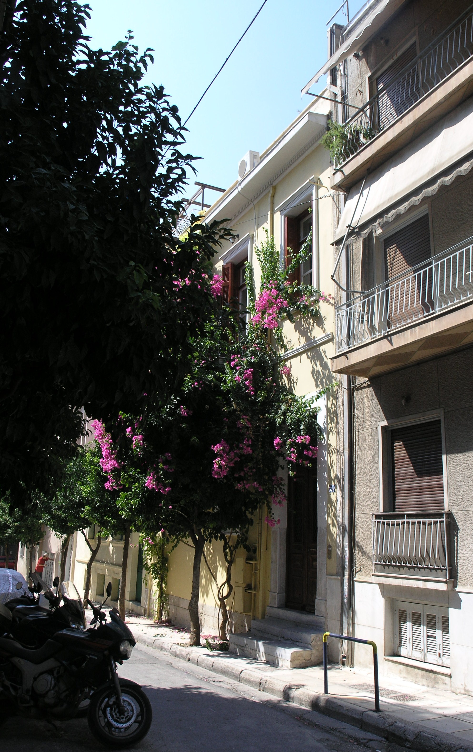 View of the main façade (2015)