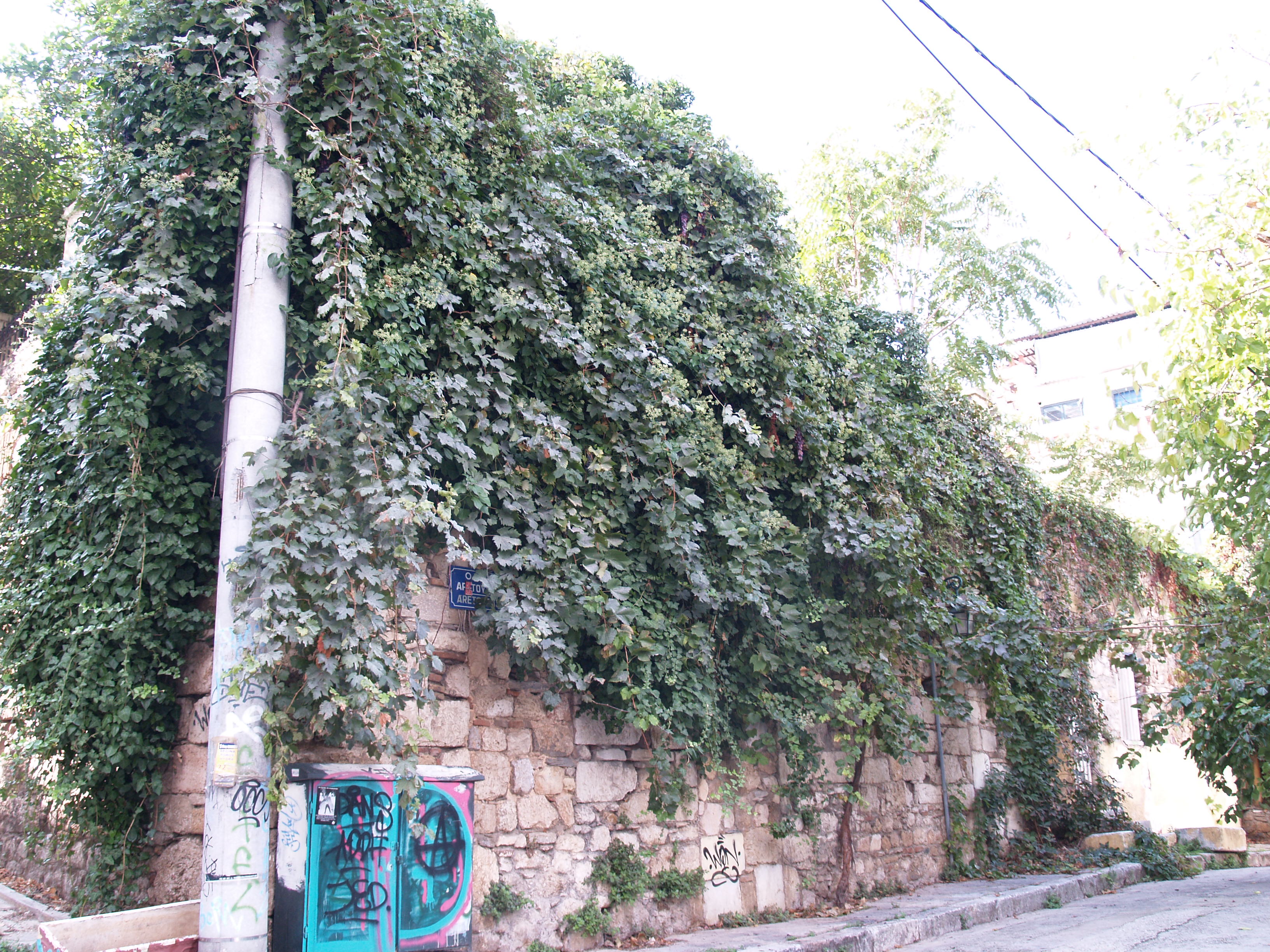 Γενική όψη επί της οδού Αρετούσας