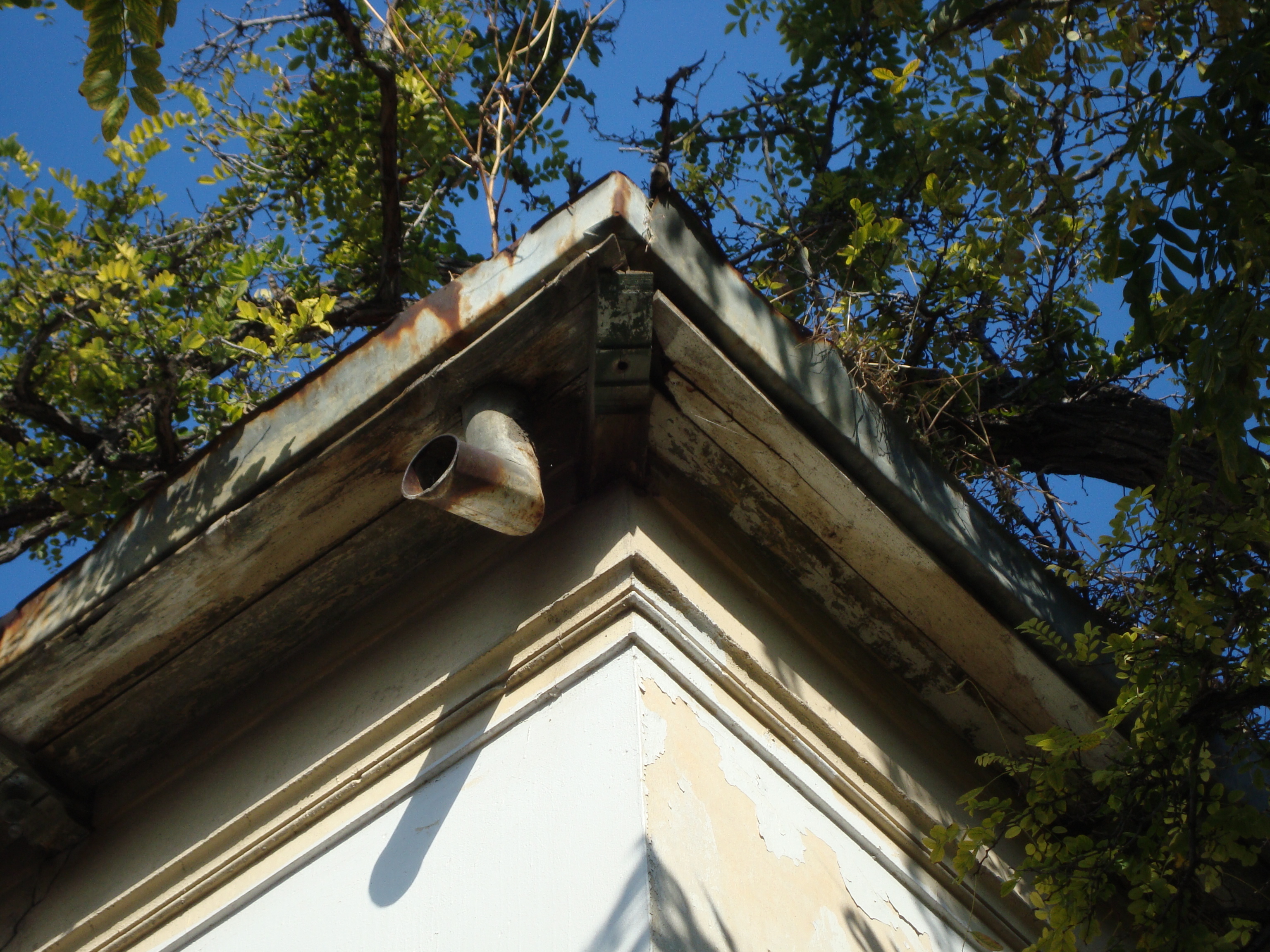 Detail of cornice