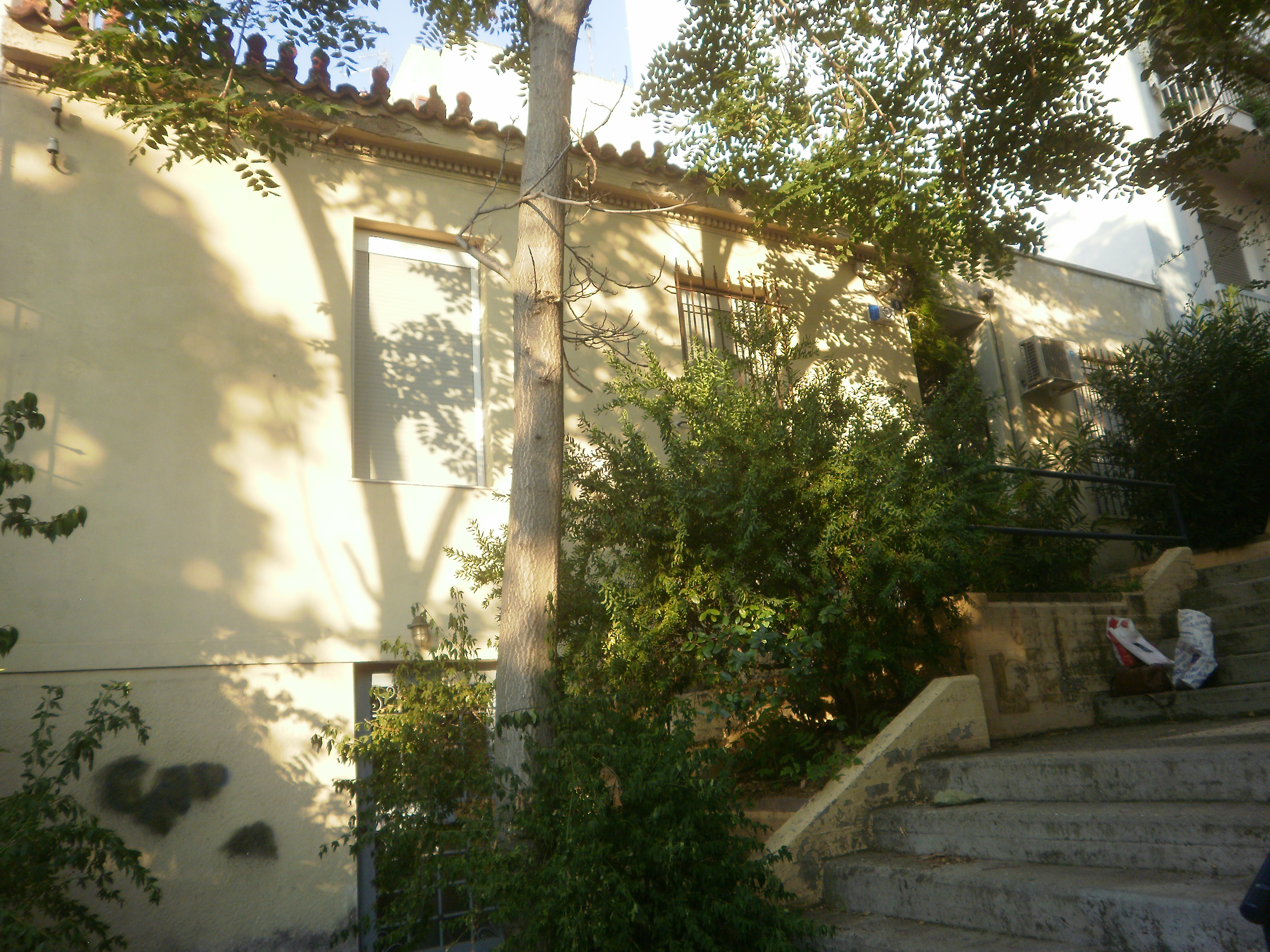 Γενική κύριας όψης