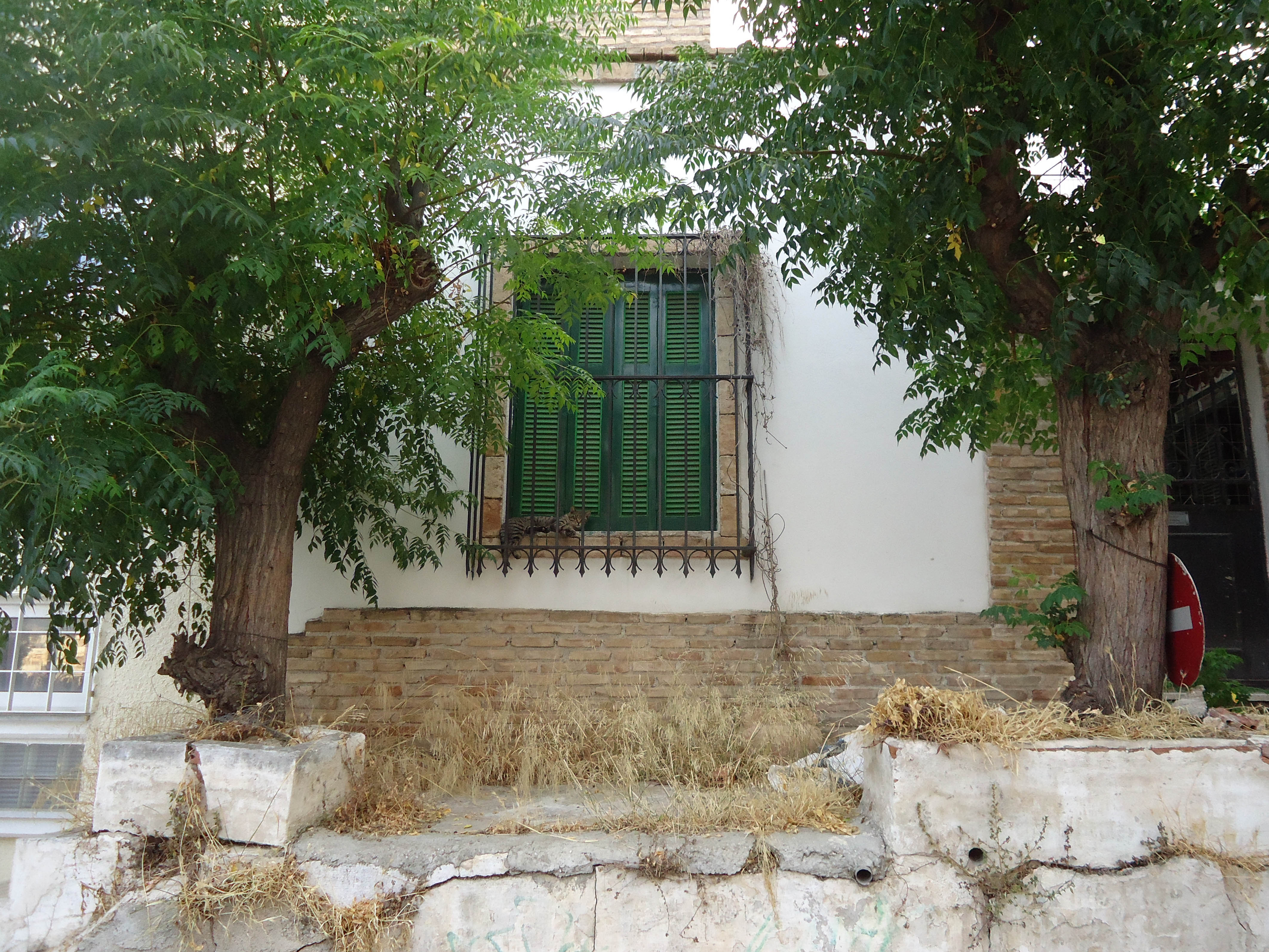 Γενική άποψη παραθύρου βορειοανατολικού κτιρίου