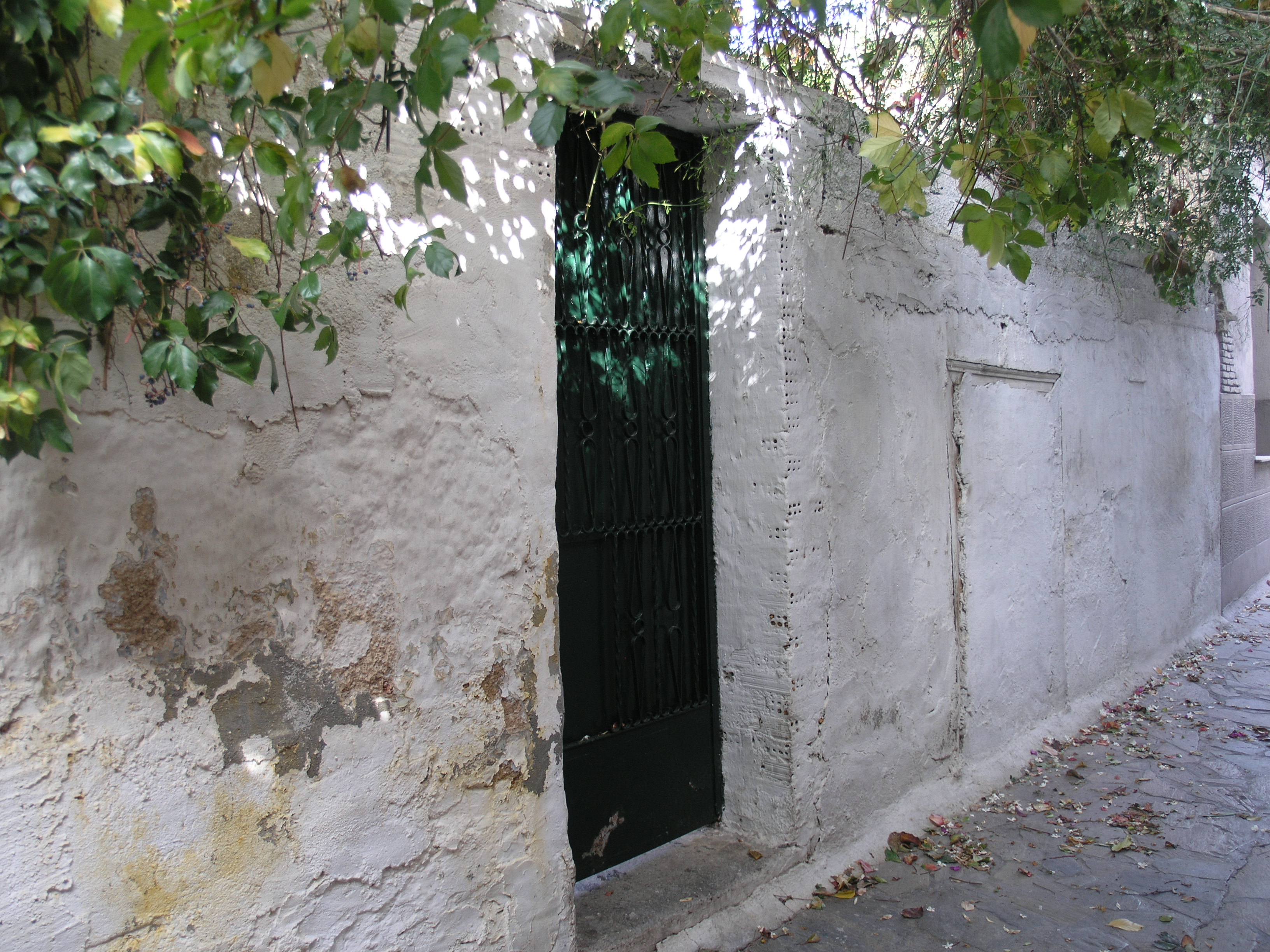 Γενική κύριας όψης