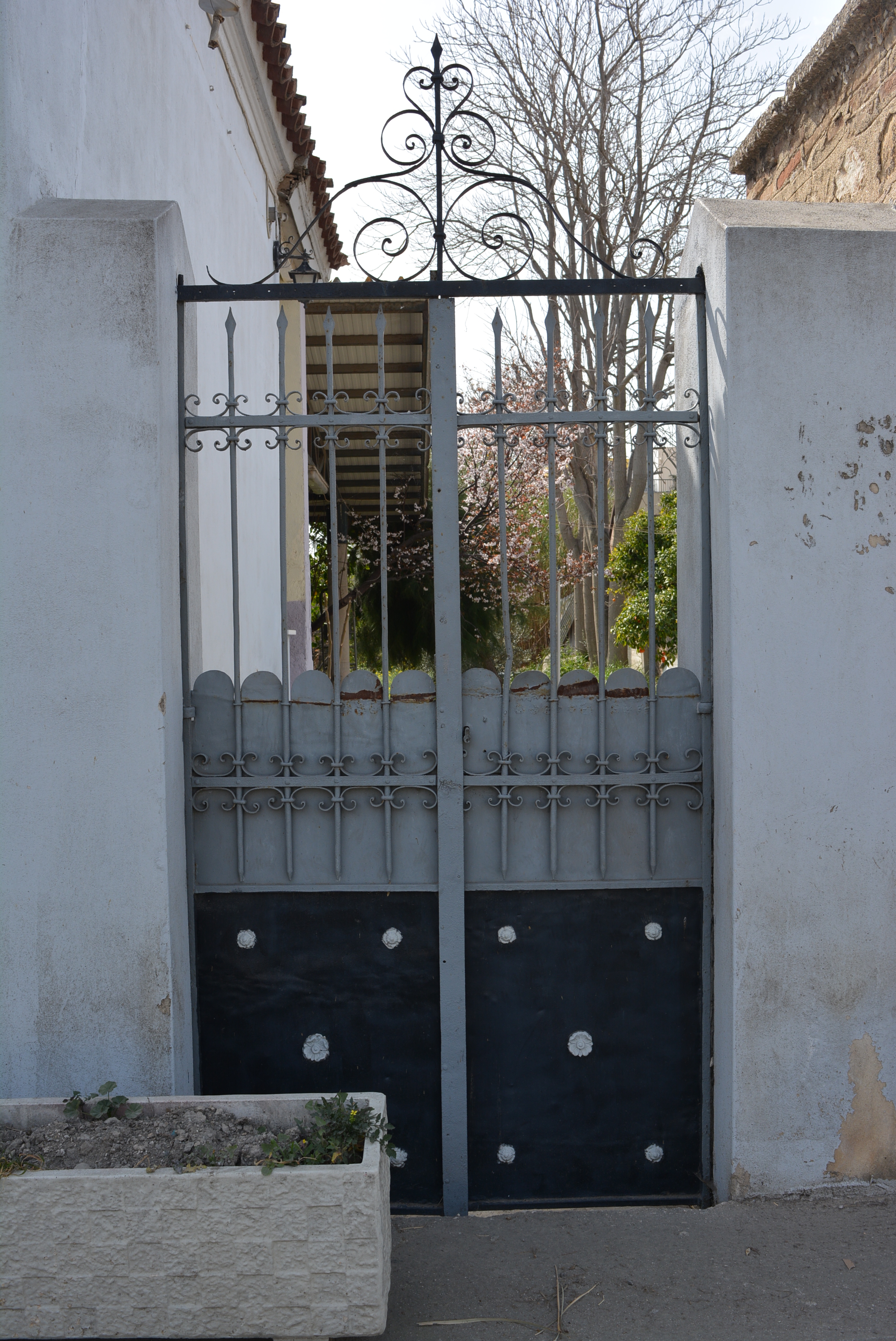 Γενική αυλόθυρας