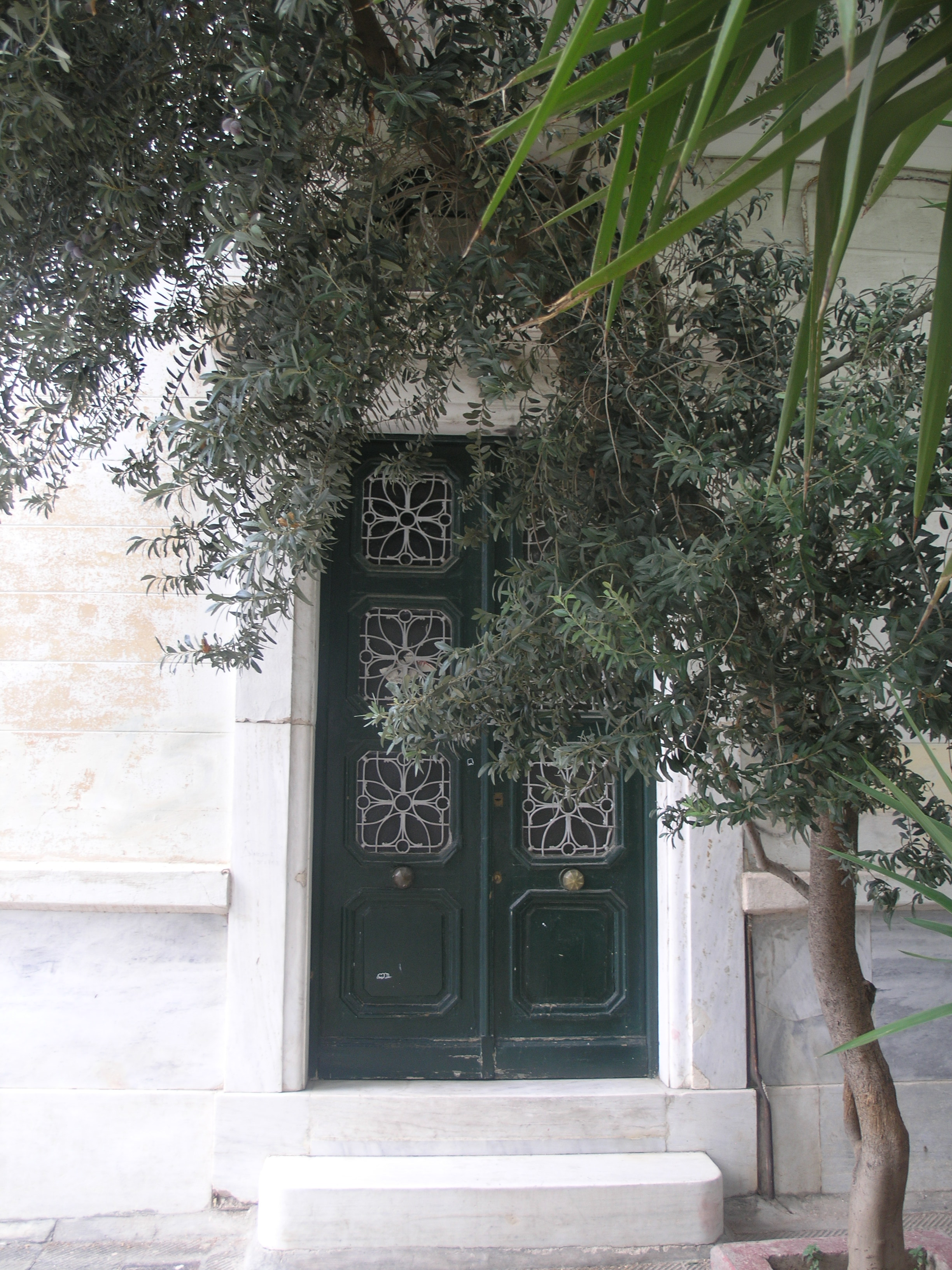 Γενική κεντρικής εισόδου