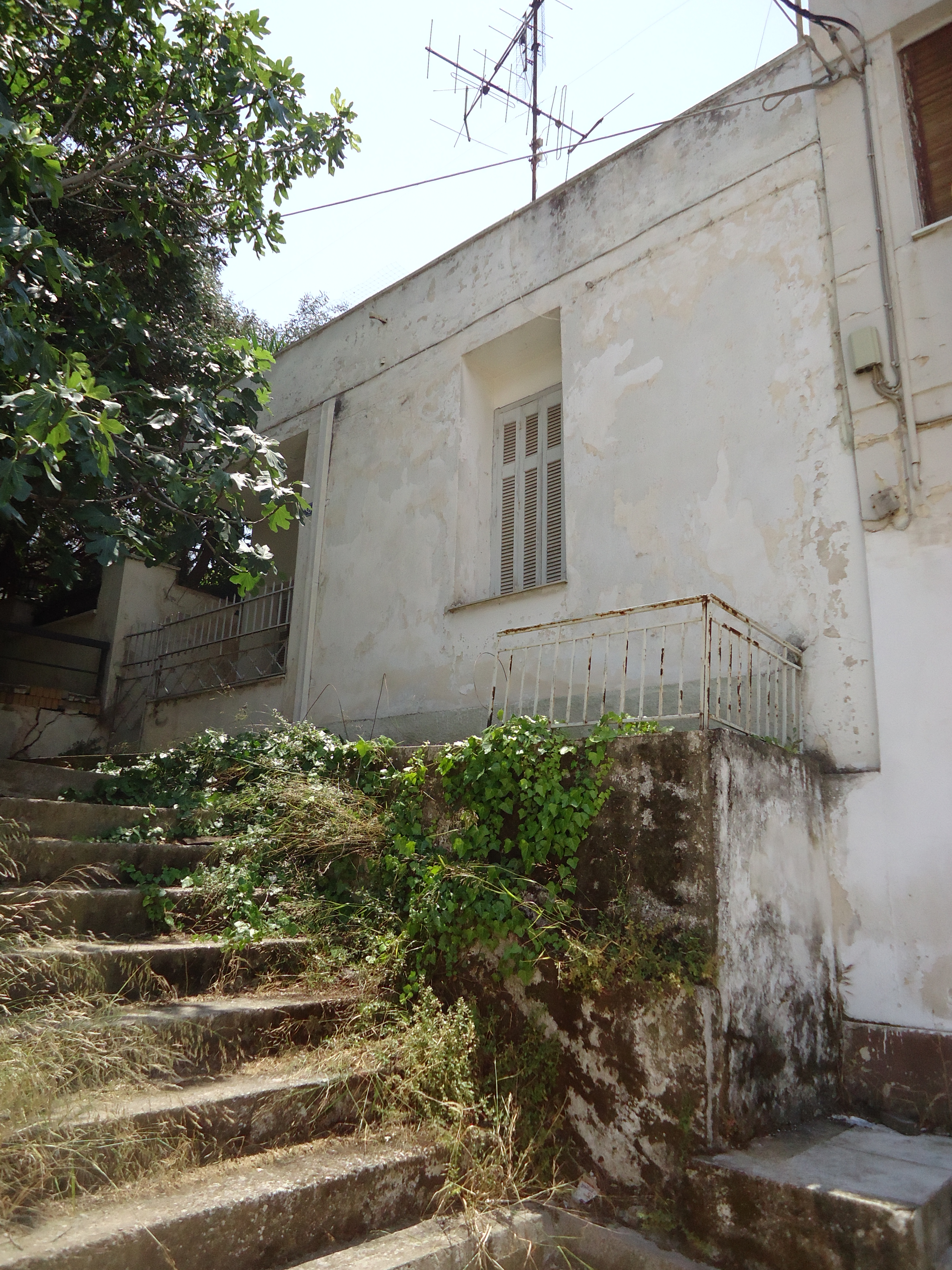Γενική κύριας όψης