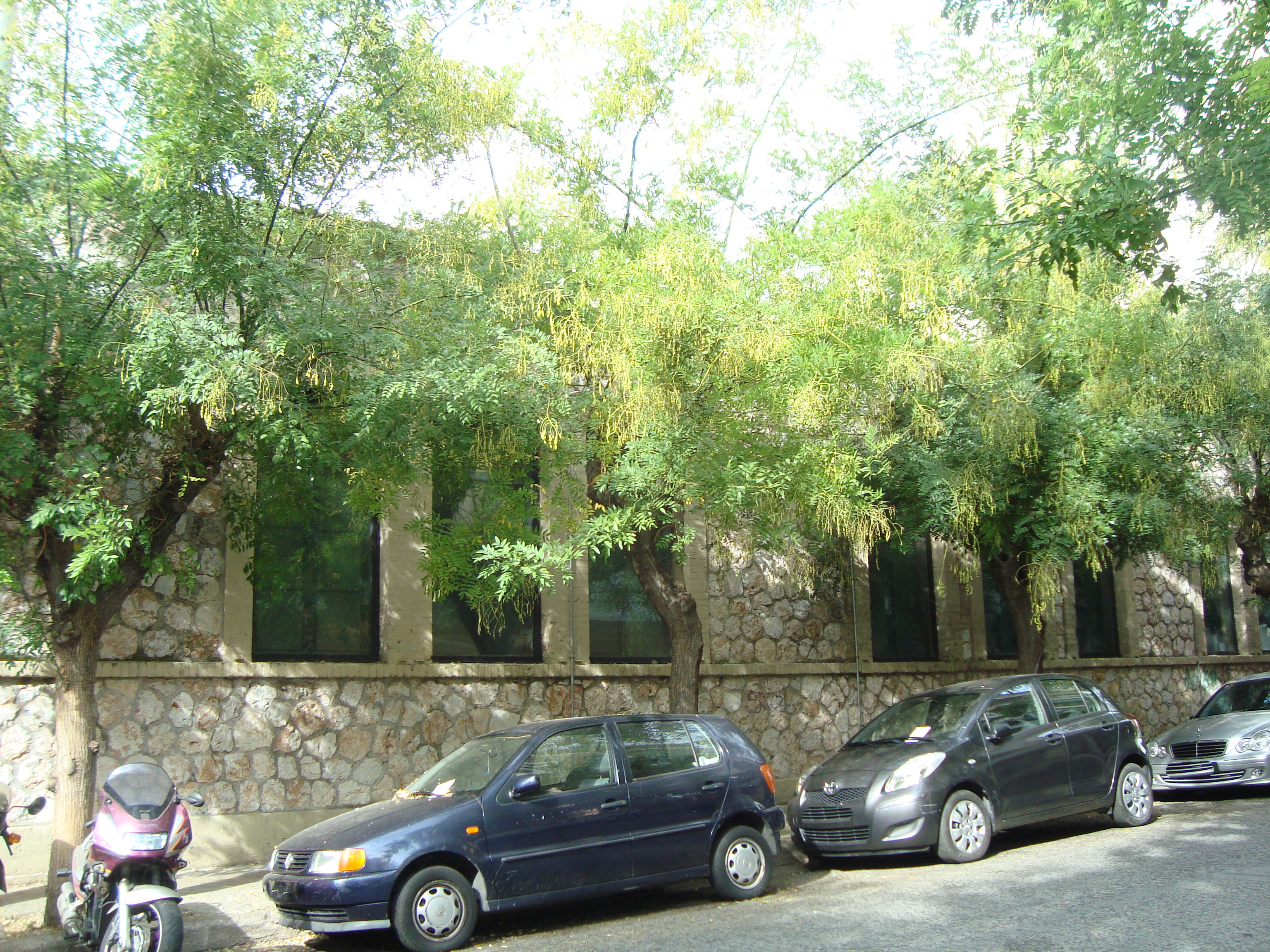 Γενική κύριας όψης (2015)