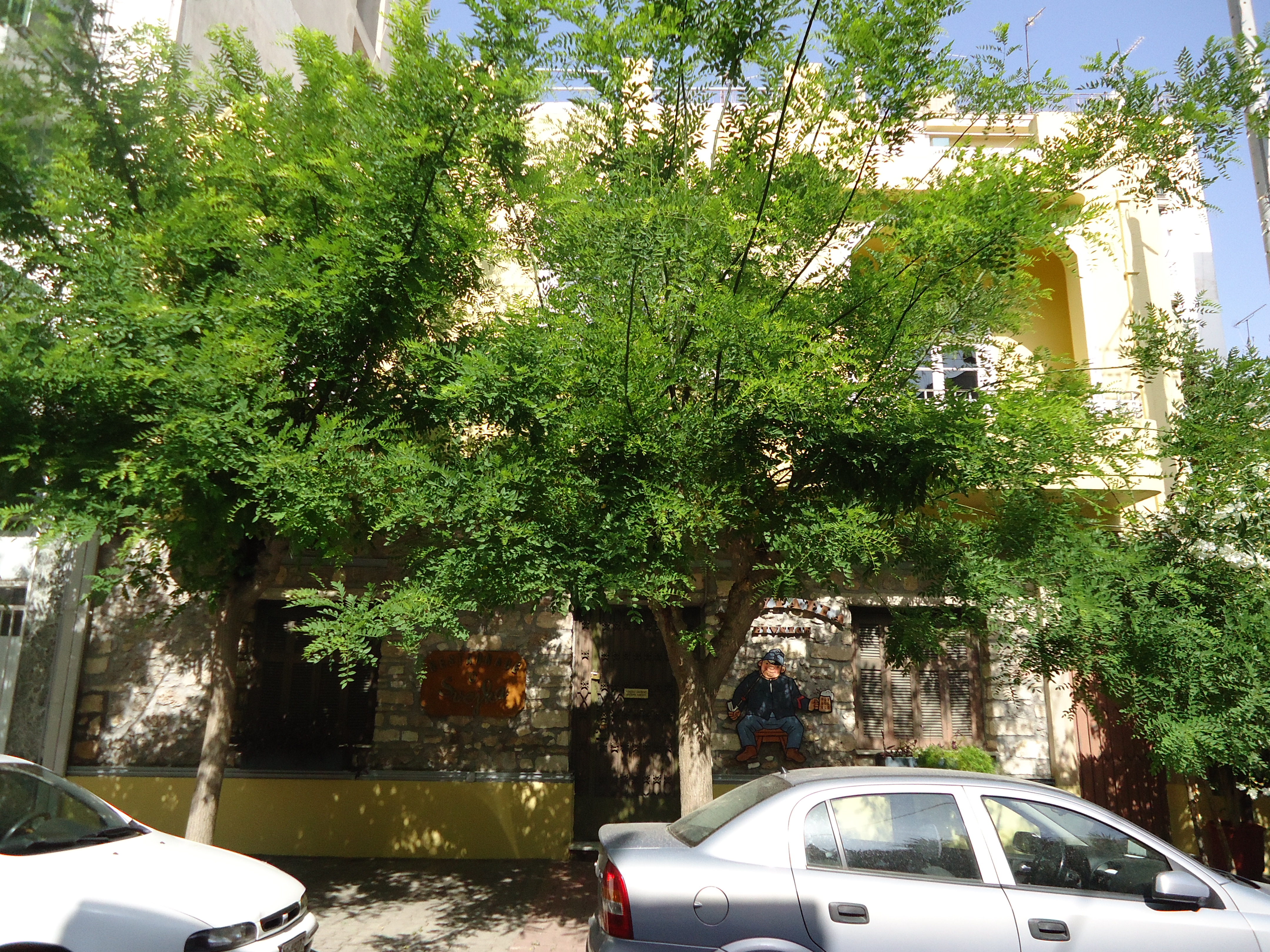 Γενική κύριας όψης