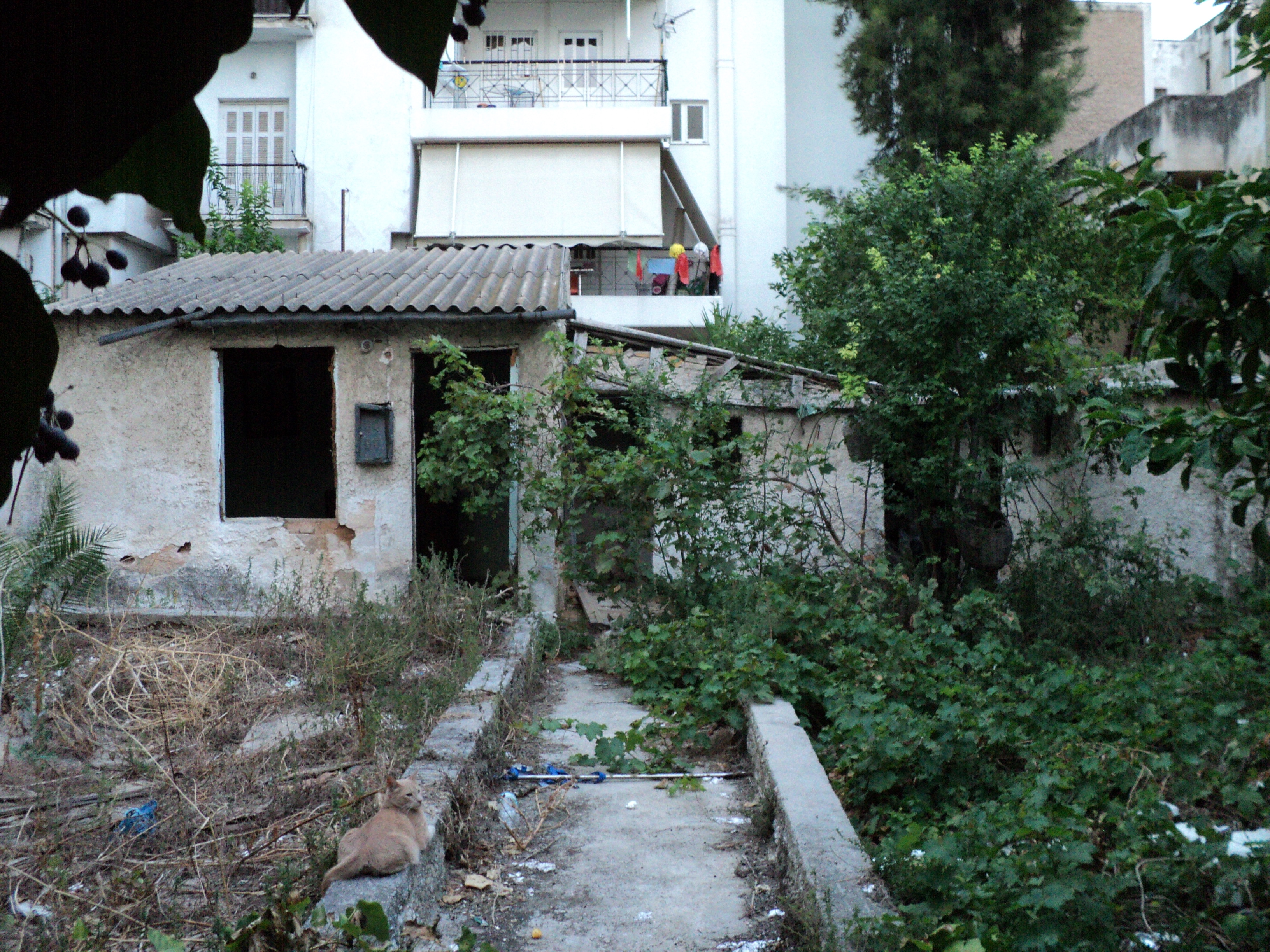 Γενική κύριας όψης
